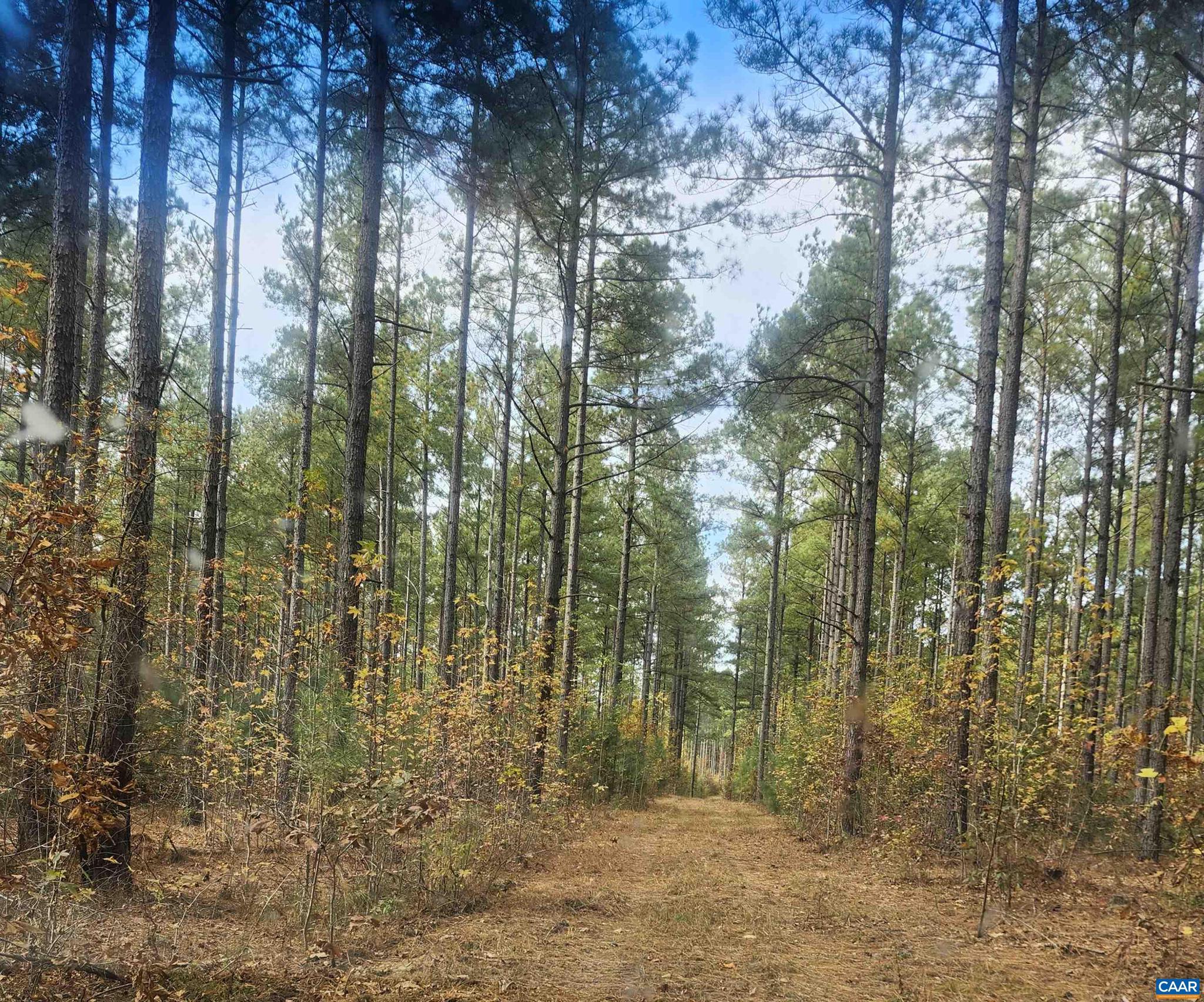 0 JOHNSON RD TAX MAP 44 PARCEL 10