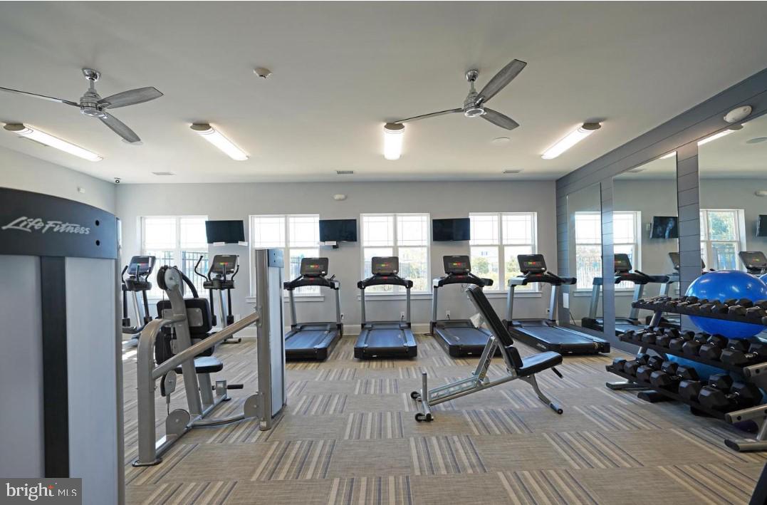 FOUR SEASONS AT BELLE TERRE - Residential