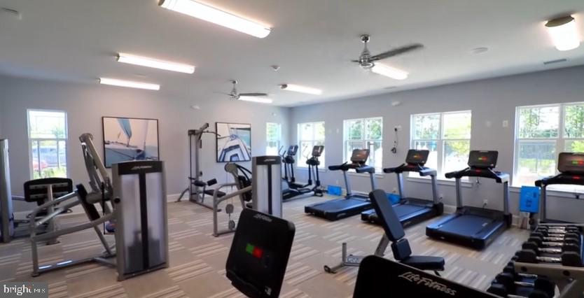 FOUR SEASONS AT BELLE TERRE - Residential