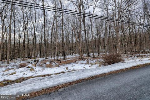 Lots 14 & 15 POCONO MOUNTAIN LAKE DRIVE BUSHKILL PA 18324