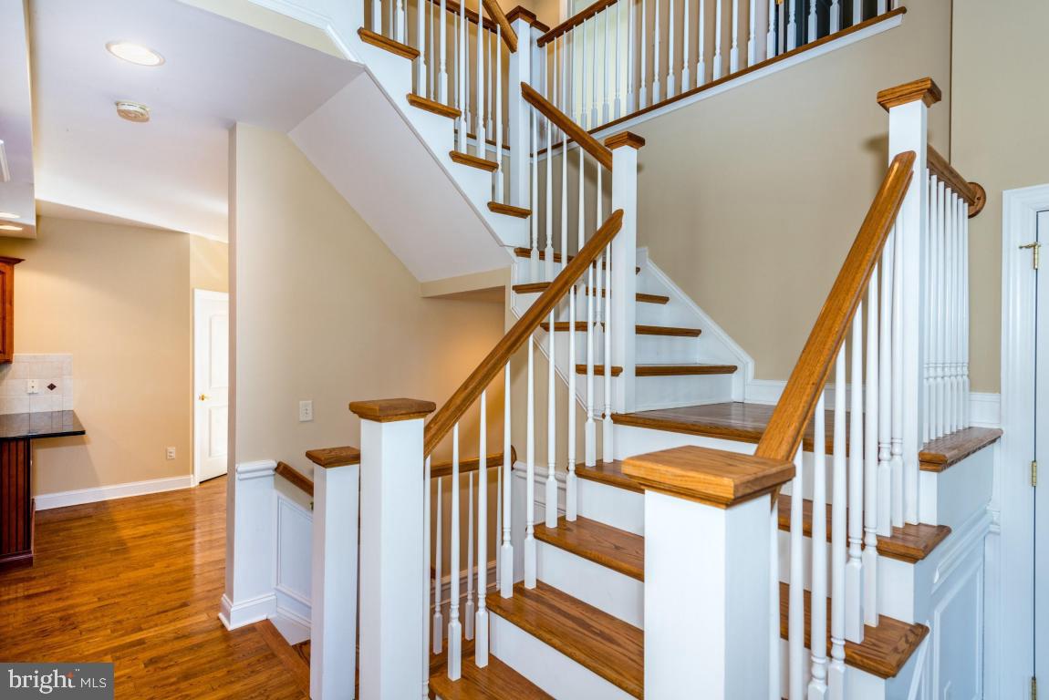 THE EAST MEADOW - Residential