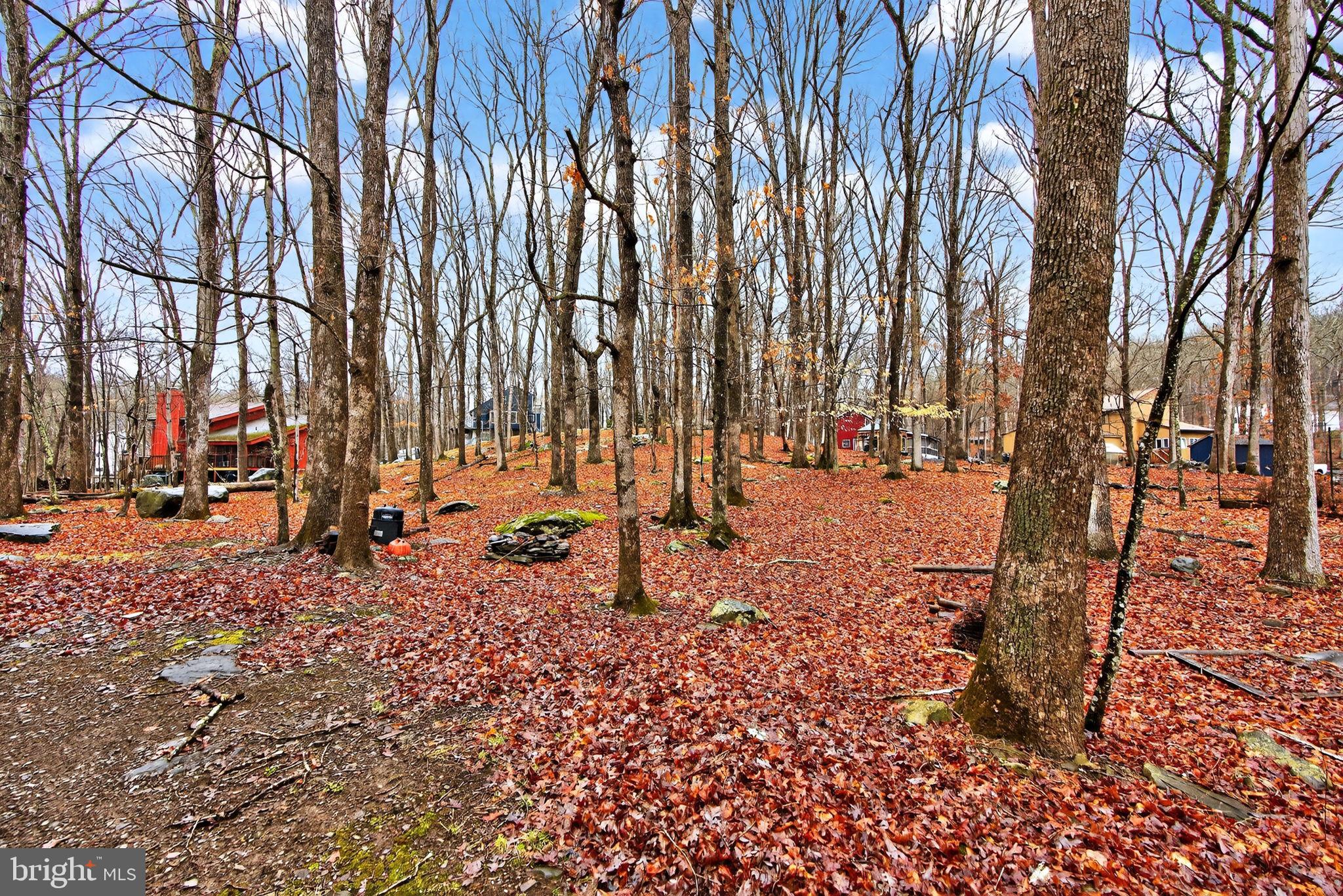 SAW CREEK EST - Residential