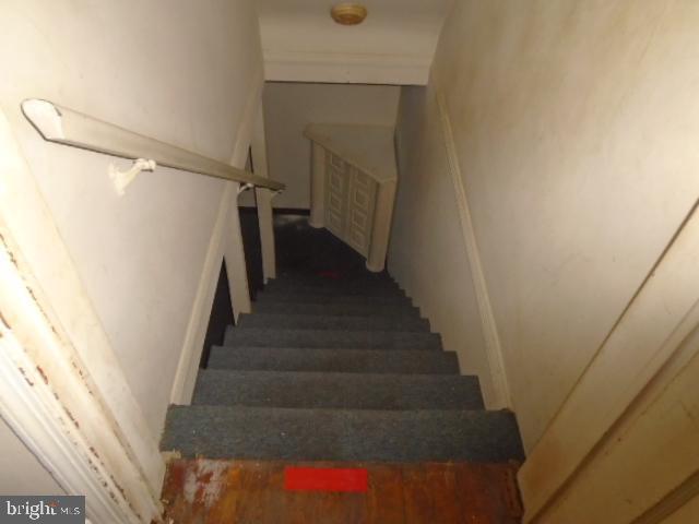 MORELL PARK - Residential