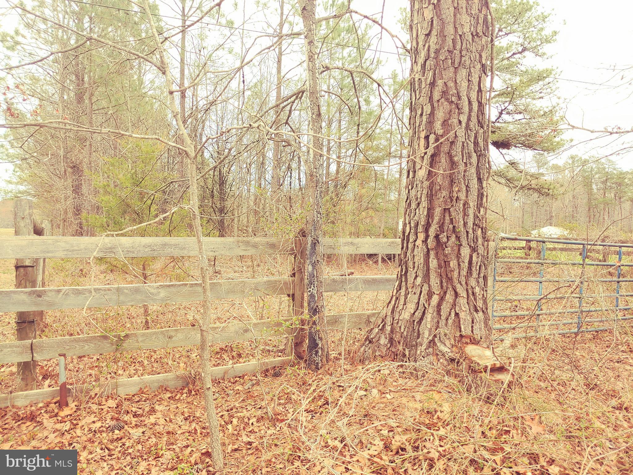 24350 HORSE SHOE ROAD