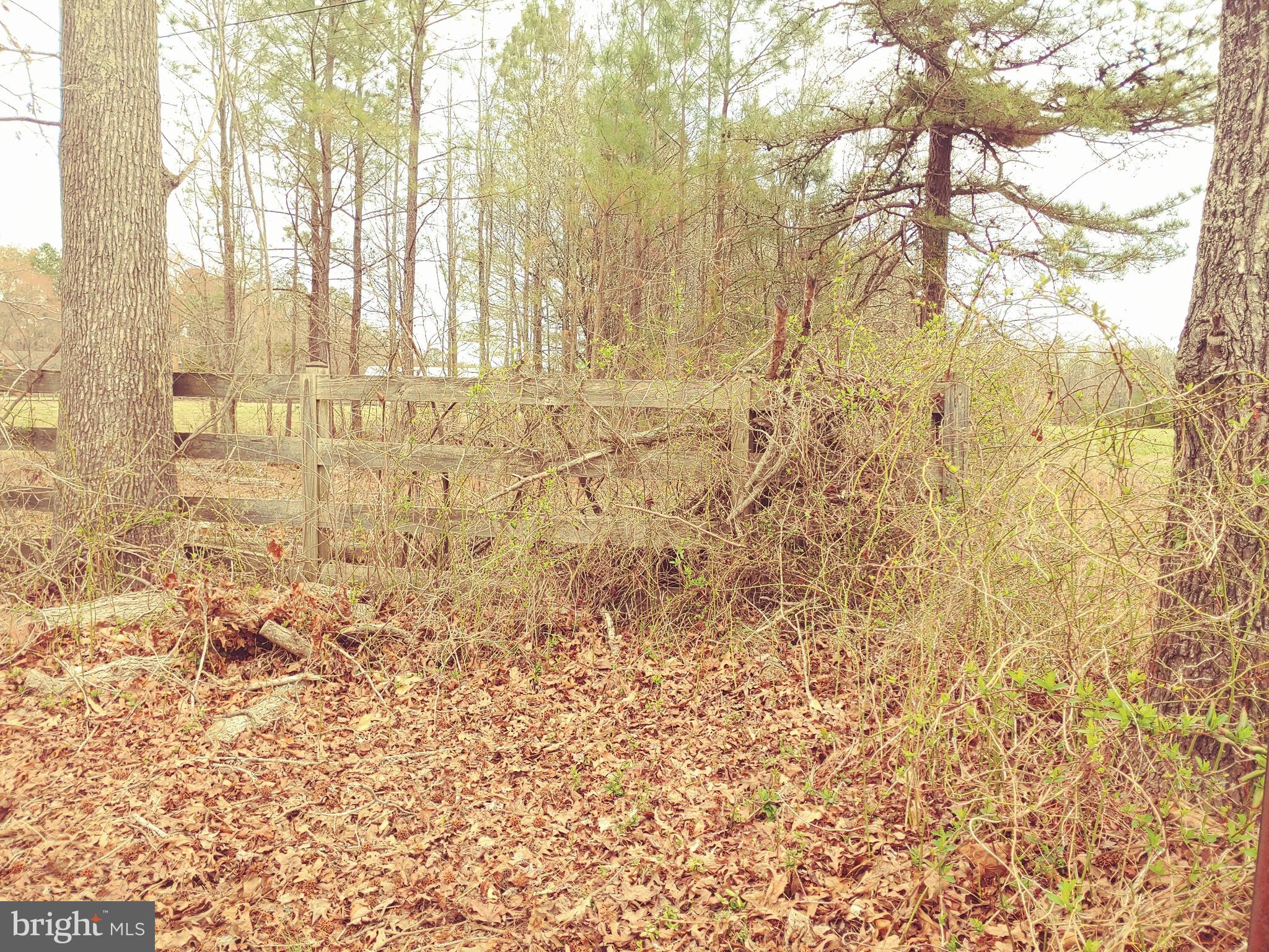 24350 HORSE SHOE ROAD