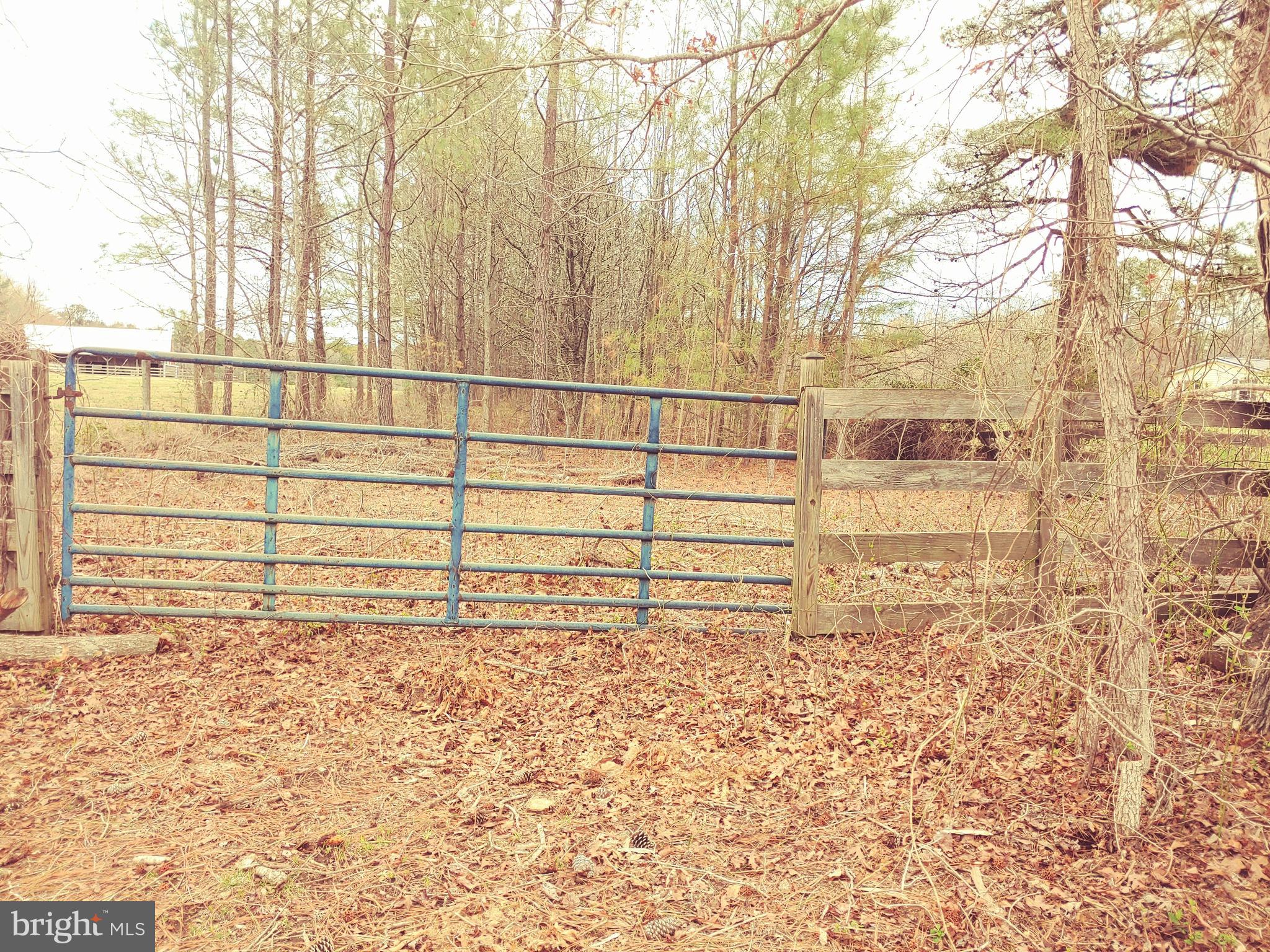 24350 HORSE SHOE ROAD