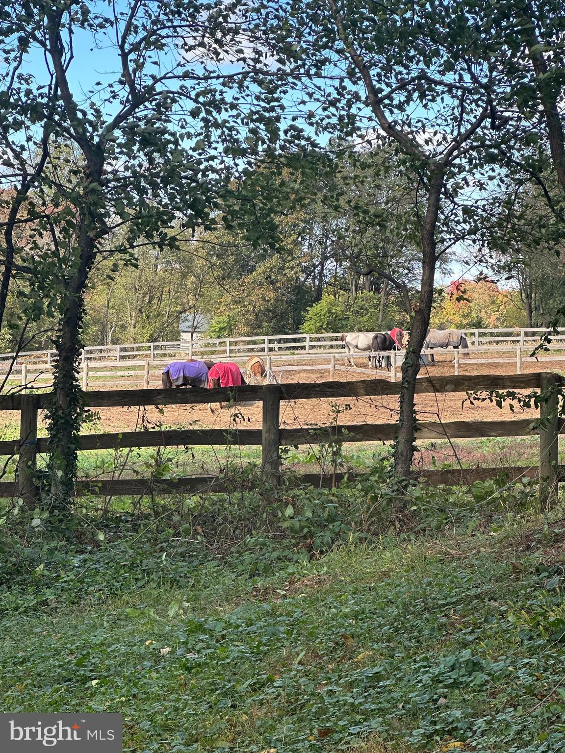 18524 BEALLSVILLE ROAD