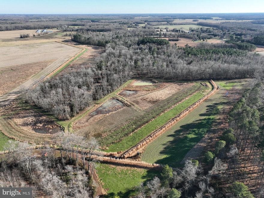 Here is your chance at a READY. TO. HUNT trophy managed and designed hunting farm in Wyoming, DE., just 1 mile north of the MD border. This property was designed for whitetail and turkey, and have been managed for the past 3 years. The farm consists of 85.5 acres of land with approximately 30% tillable that consists of food plots planted in clover, along with soybeans and corn, and 4 impoundments that are ready for your waterfowl desires. The impoundments have flow control stuctures between them but no well, and they could be planted for maximum resutls. All the edges of the food plot and property border has been planted with barrier grass / CRP to provide the most comfort to the game. The wooded portion of the farm had a wildlife management cut done two years ago in order to create better habitat, which is clearly visible as your tour the farm. The woods have thickened up perfectly creating great habitat for deer and turkey. The cut was an 18" DBH and up, which left many large oak trees, and just a perfect forest for growing big deer. There is a great road system throughout the property and wooded areas making access to you blind or stand very simple and quiet. Between the box blinds on the food plots, to the ladderstands deep in the woods, this property provides ample opportunity, and is setup quite nicely for hunting. 

To note, the entire property is under an Agland Preservation Easement (in the docs), but does allow the building of up to 3 residences. The farm is improved with an approximately 12'x20' pole barn right off the driveway upfront close to Sandtown Road. No perc or well, and electric could easily be run to the property.

Don't wait, head on over and see what a great hunting farm looks like first hand! Schedule your very own private tour today!