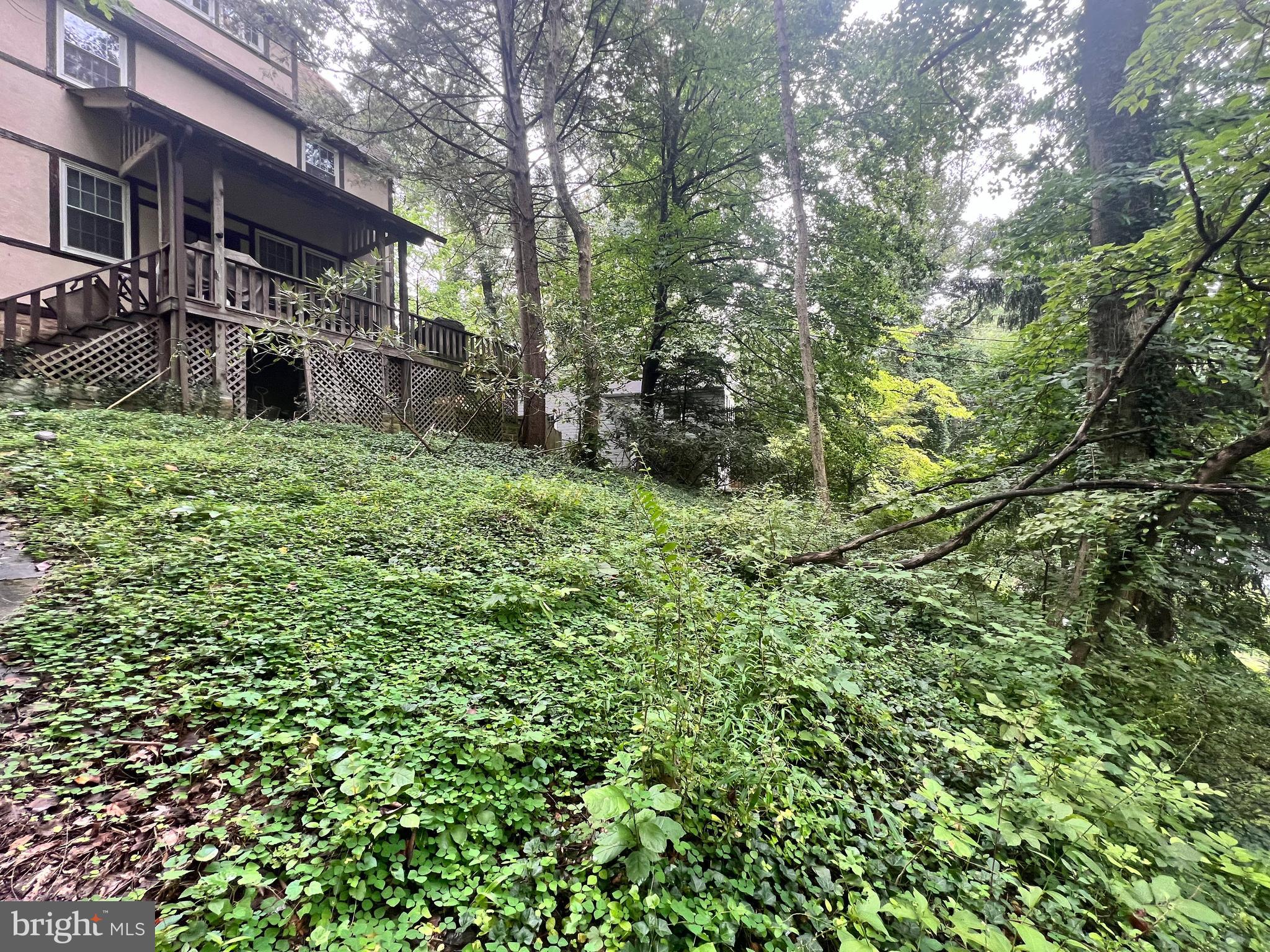 TAKOMA PARK - Residential