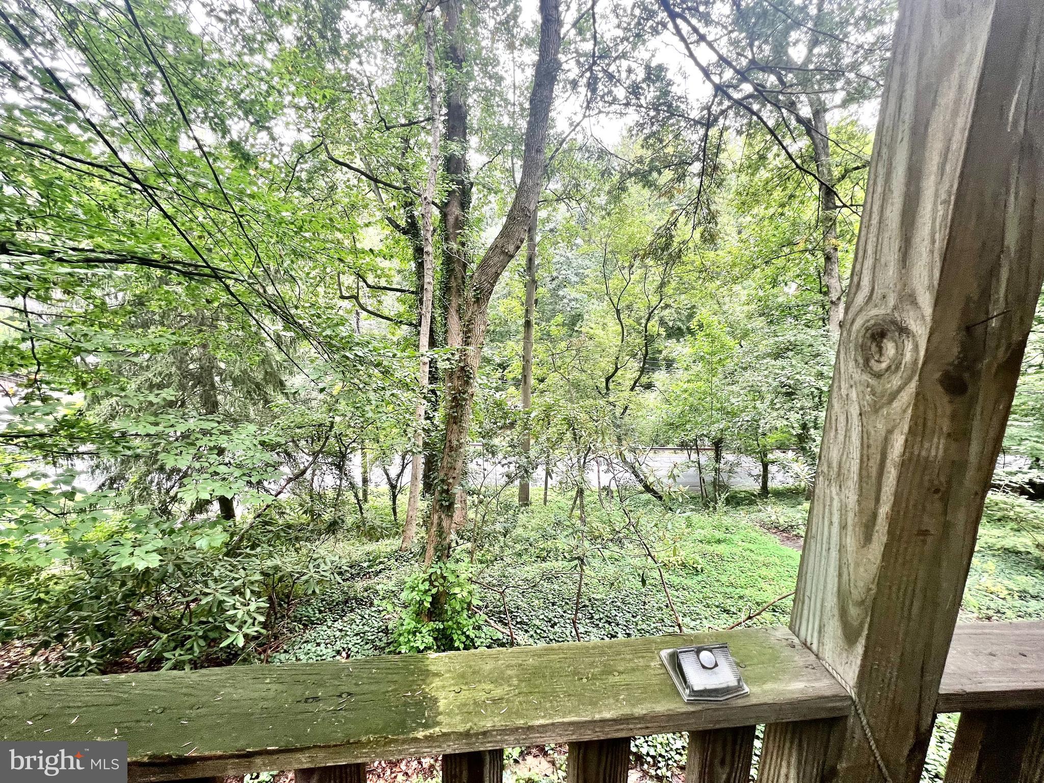 TAKOMA PARK - Residential