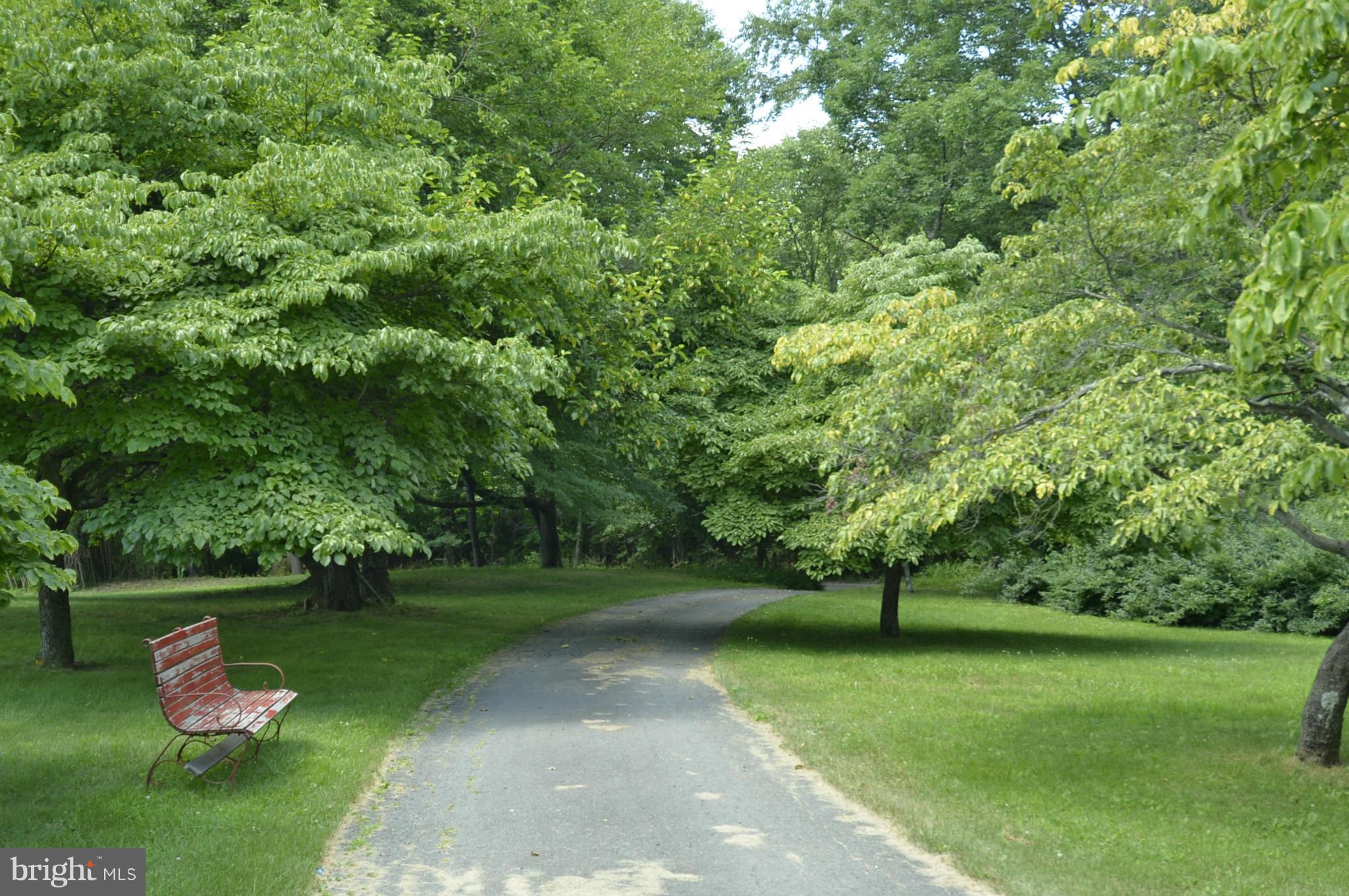 PIGGOT DIVISION - Residential