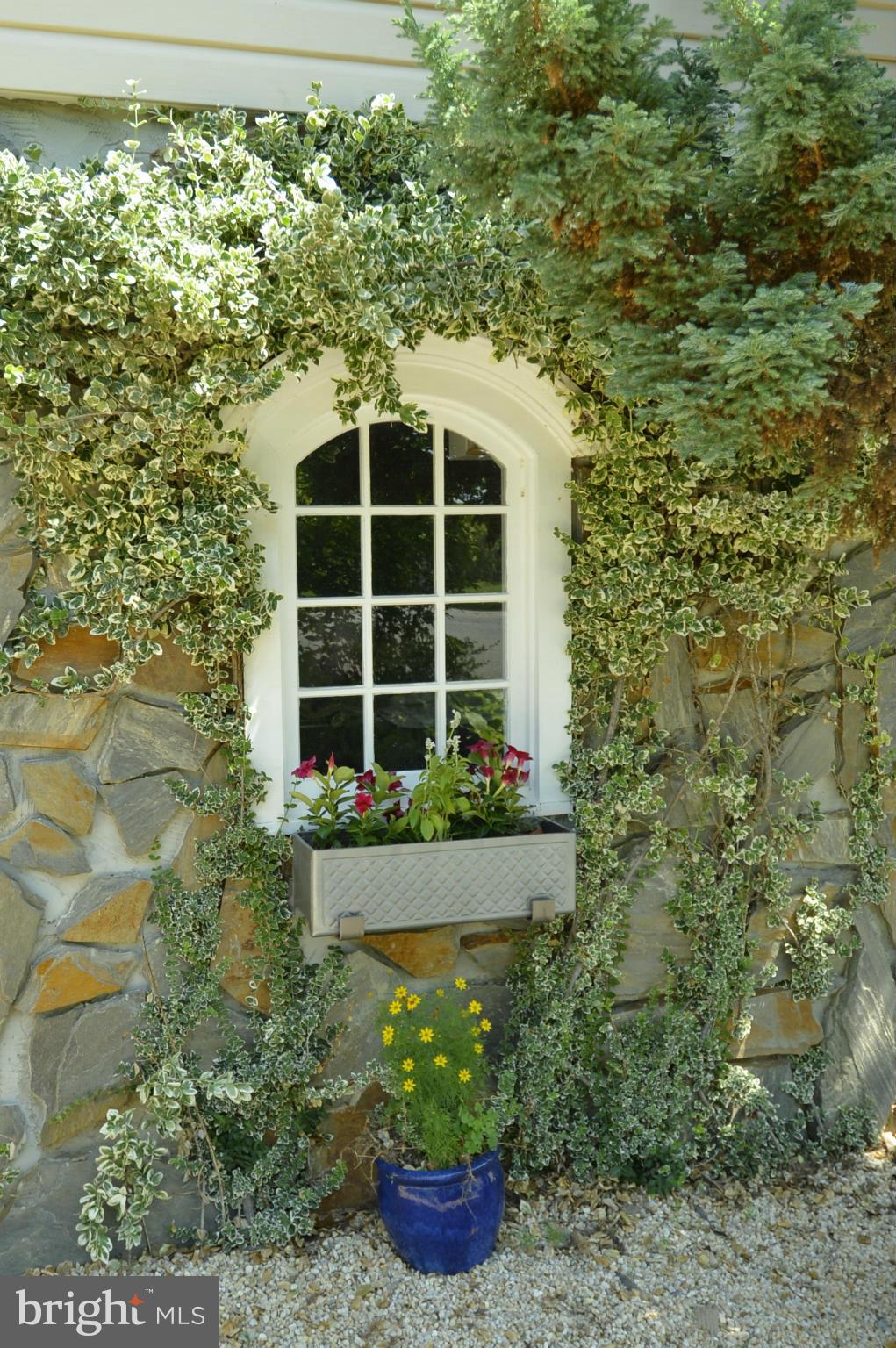 PIGGOT DIVISION - Residential