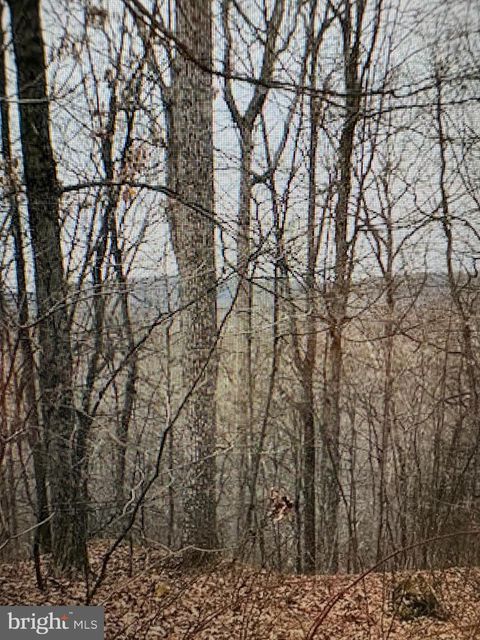 Vacant Land For Sale - LOT 91011262836 Cubby Hole Lane<br/> BERKELEY SPRINGS, WV 25411