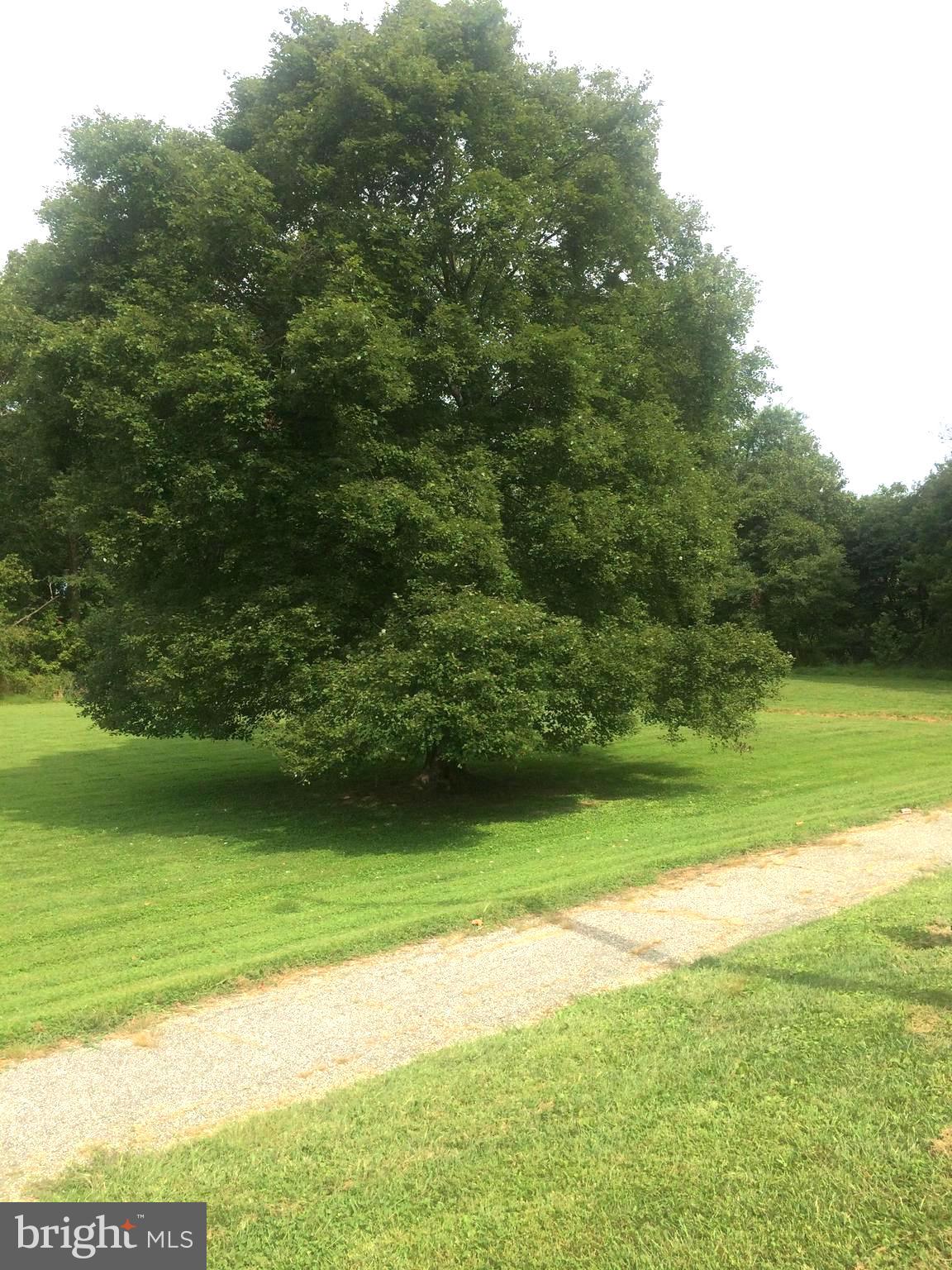 KINGS COURT - Residential