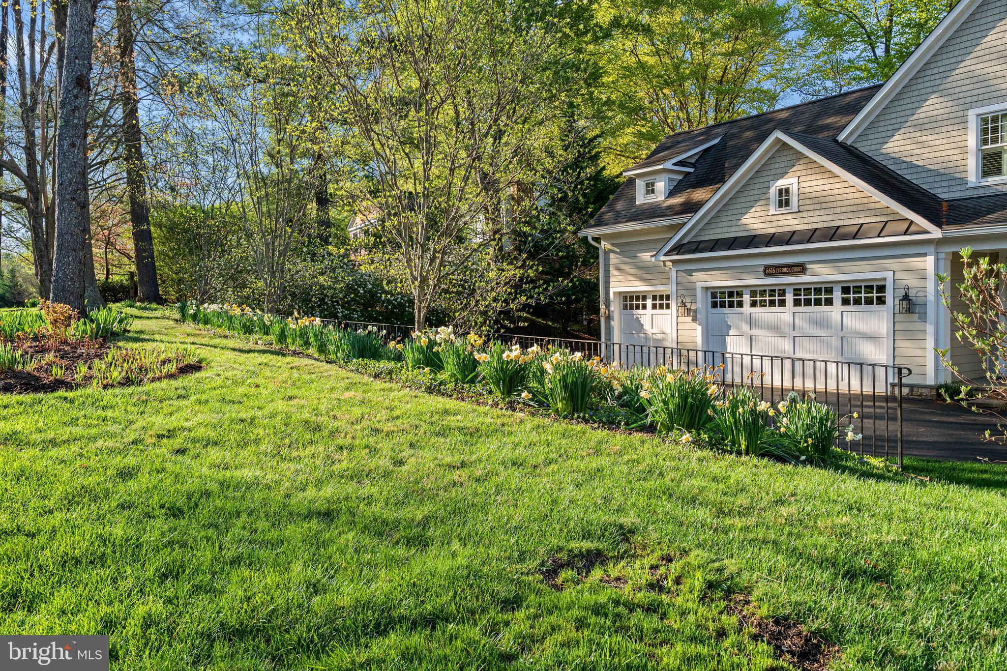 BURNING TREE - Residential