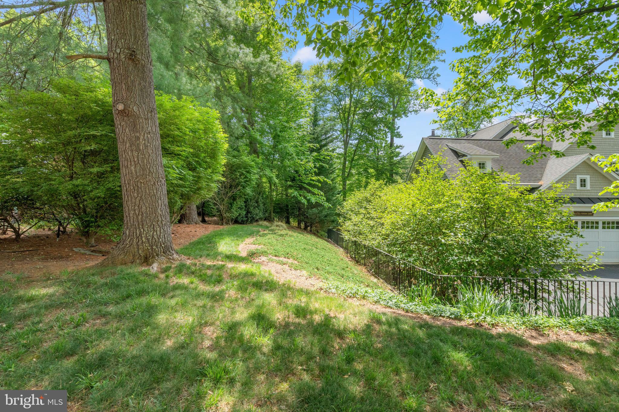 BURNING TREE - Residential