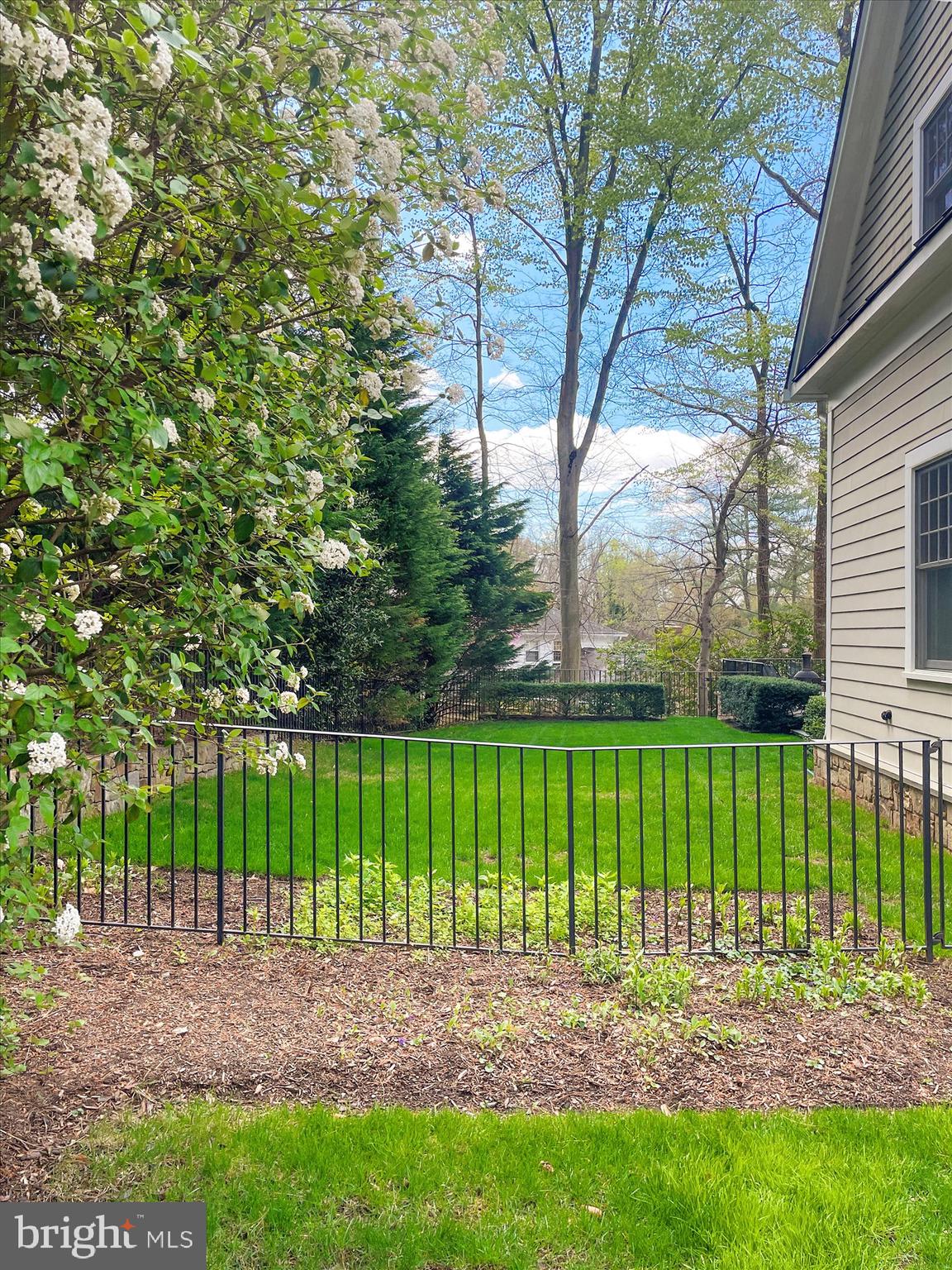 BURNING TREE - Residential