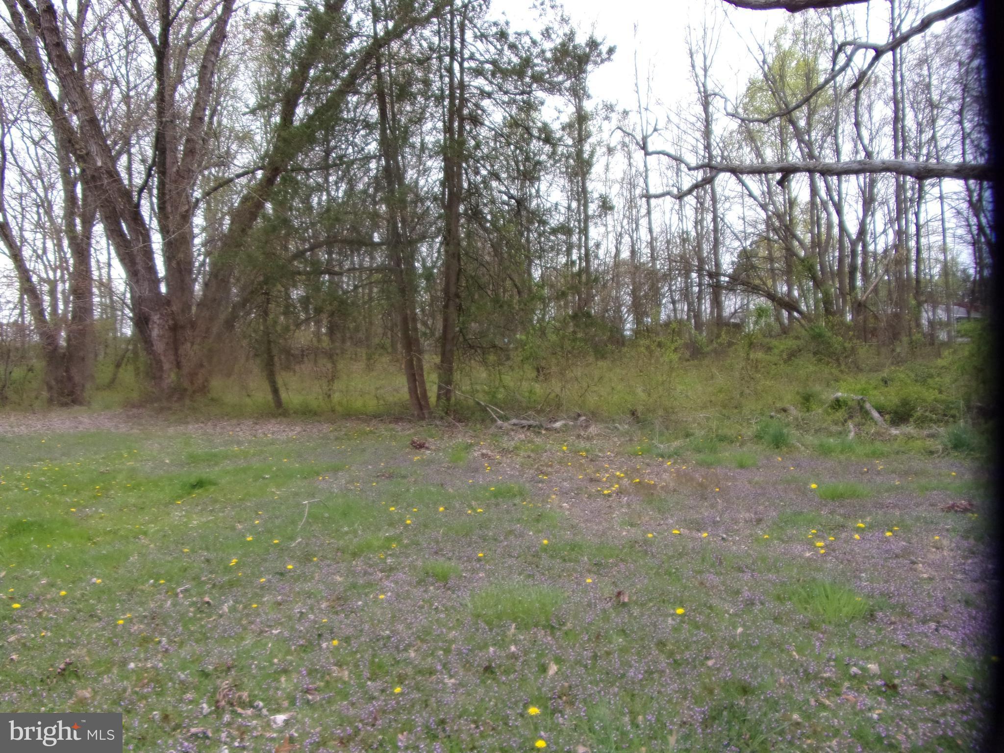 WAMPLER WOODS - Residential