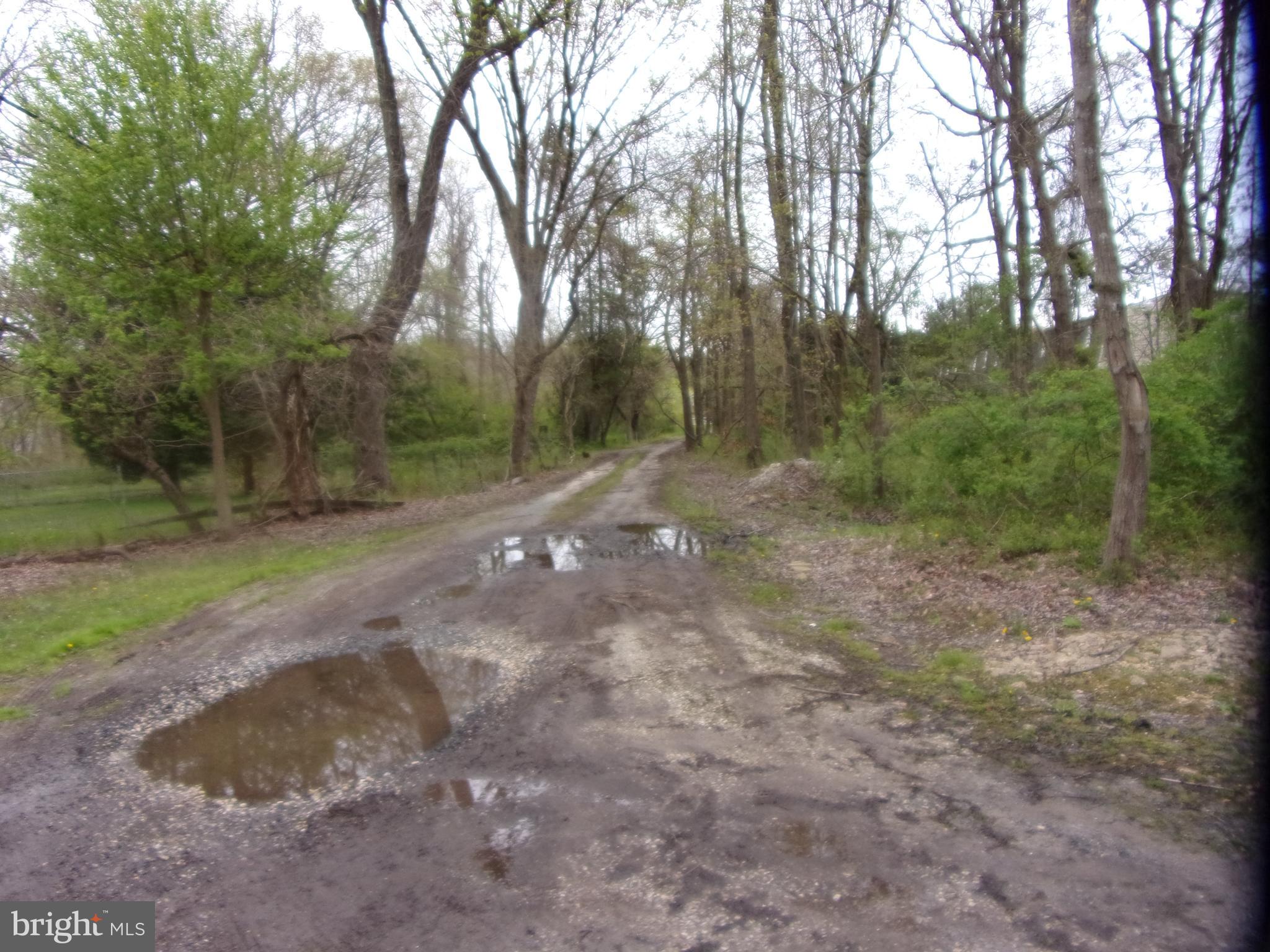 WAMPLER WOODS - Residential