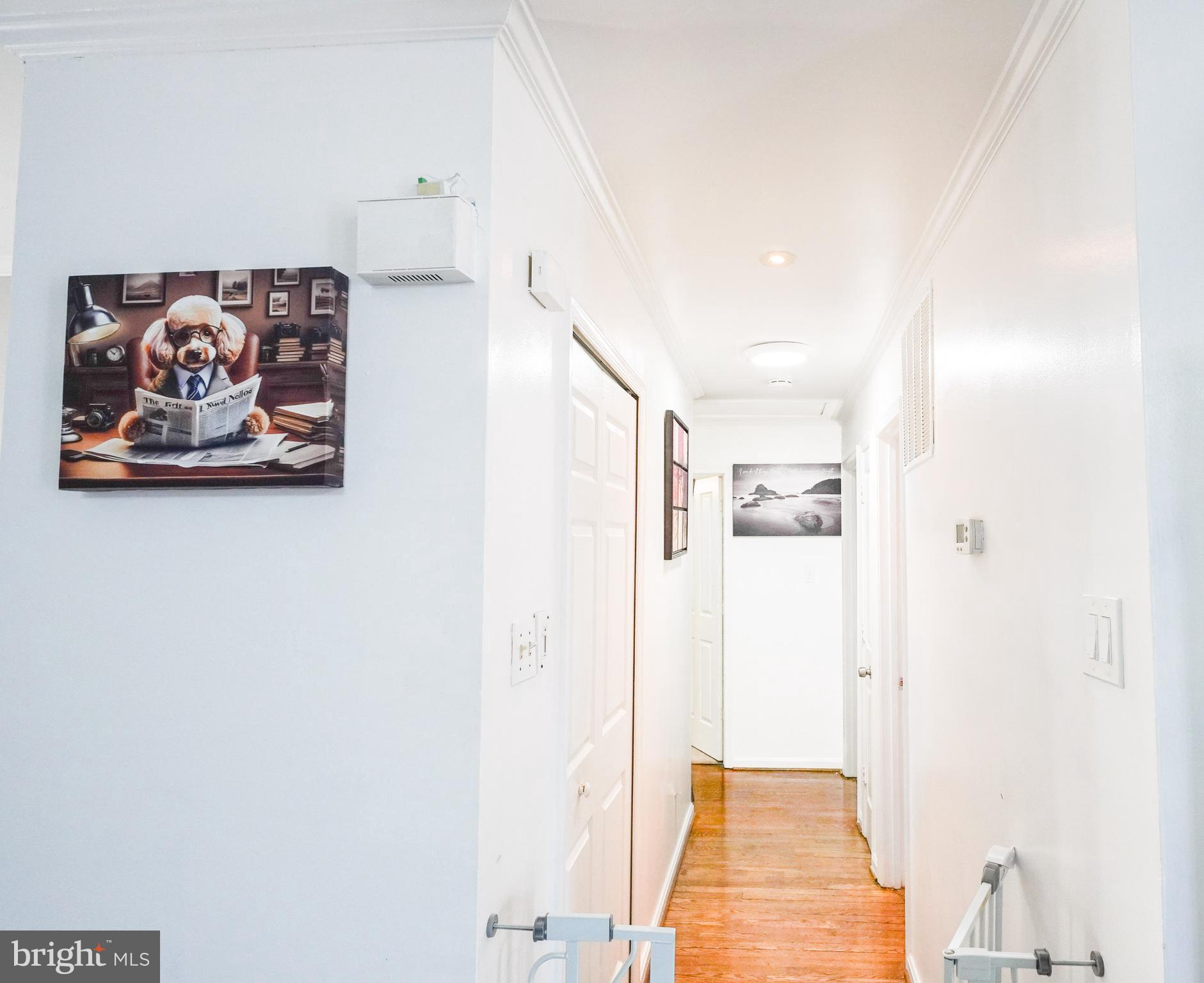SHANNON SQUARE - Residential