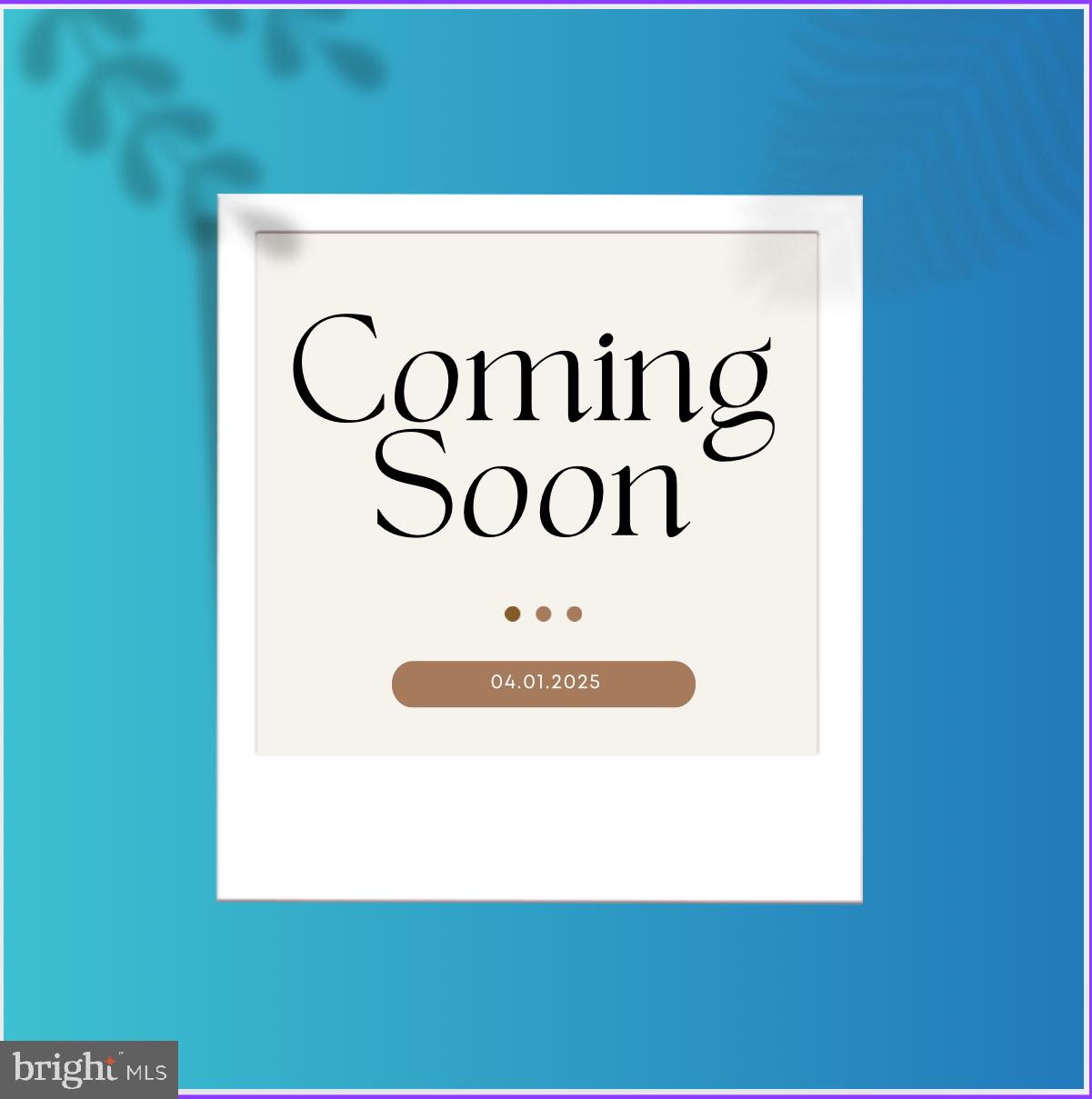 HARLEM PARK - Residential Lease