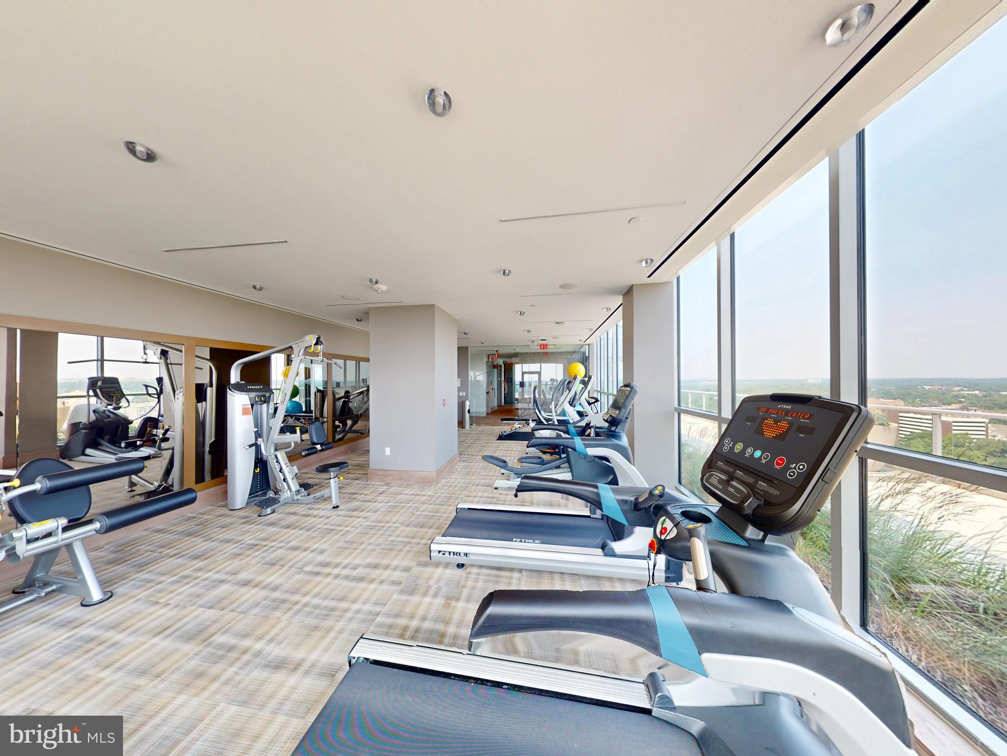 PIKE AND ROSE - Residential