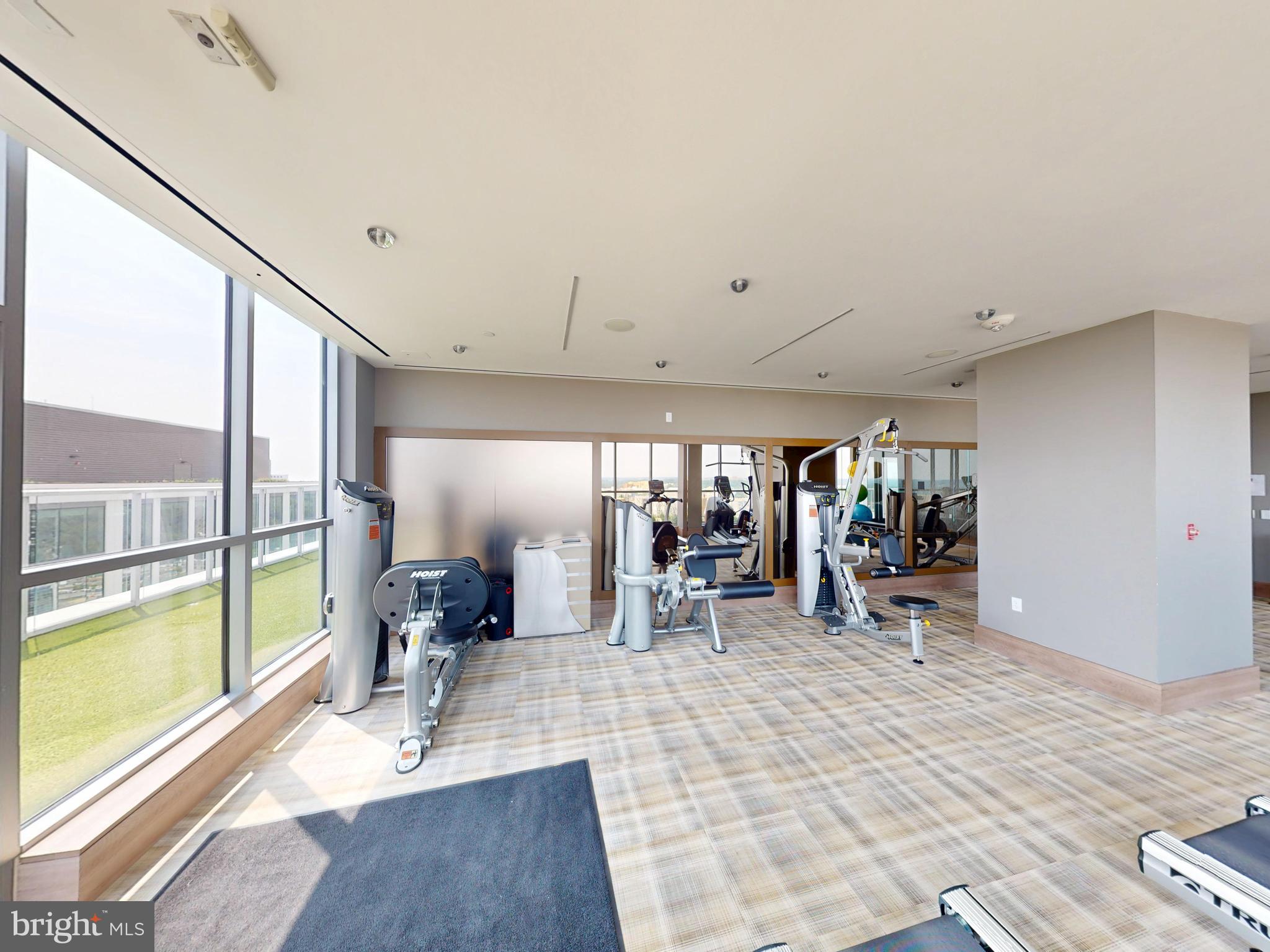 PIKE AND ROSE - Residential