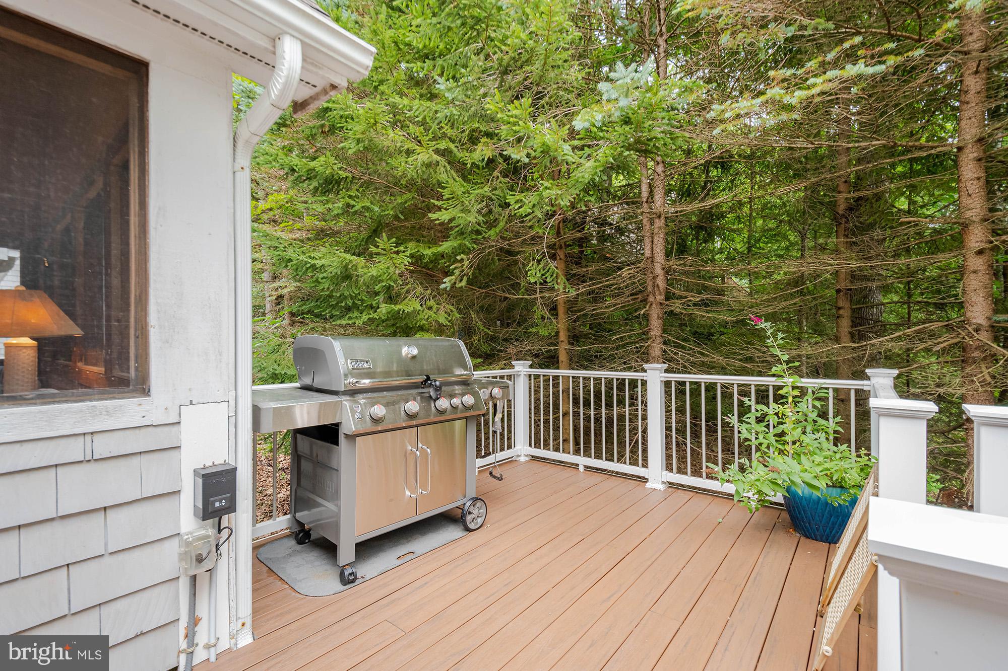 MEADOW MOUNTAIN - Residential