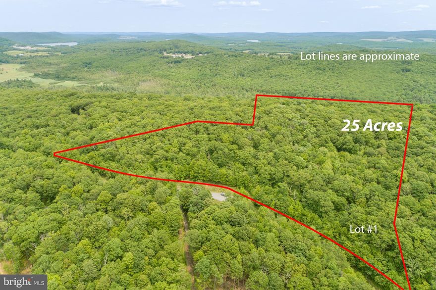 25 acre wooded homesite in Garrett County, Maryland located 5 minutes from Deep Creek Lake! Existing well on site, approved 4 bedroom perc site and electric is at site. All this property needs is you to build your dream home in the mountains! Driveway is in place to access the homesite. HOA for road maintenance and snow removal. Call today to schedule a private showing!