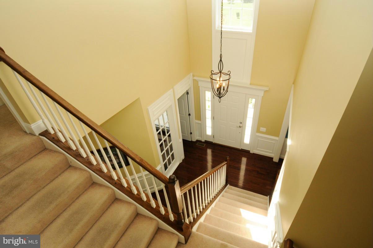 RED CEDAR - Residential