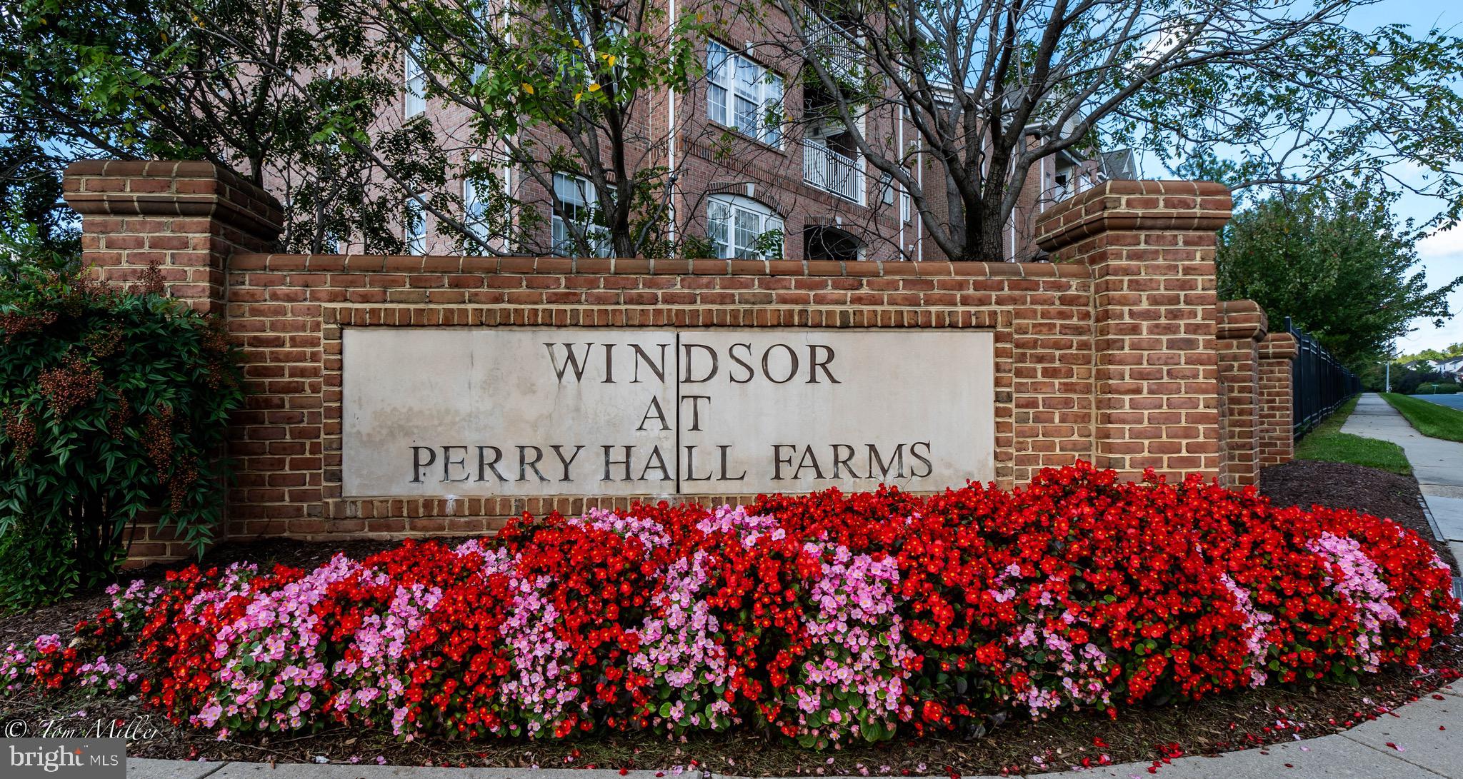 WINDSOR AT PERRY HALL FARMS - Residential