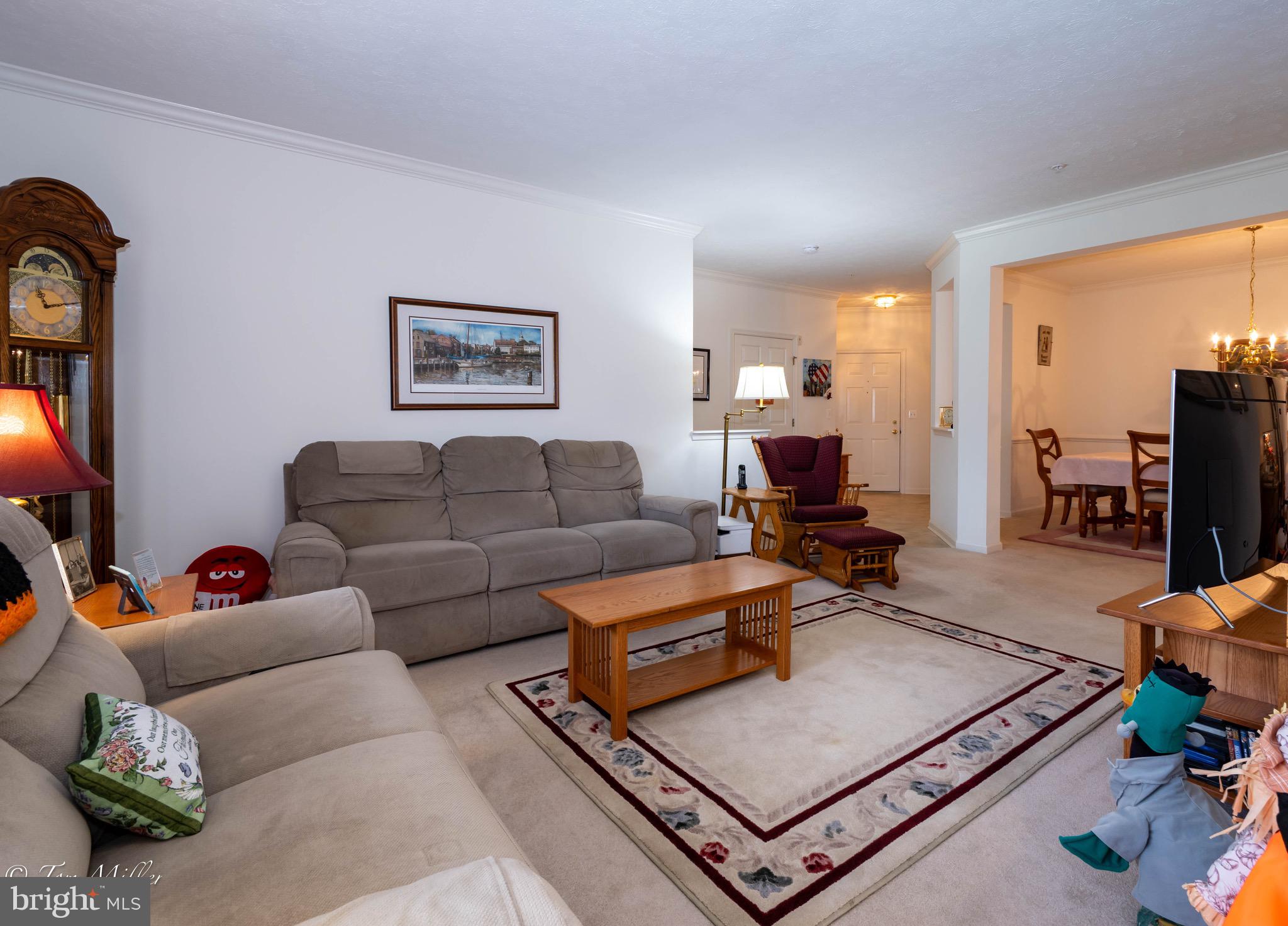 WINDSOR AT PERRY HALL FARMS - Residential