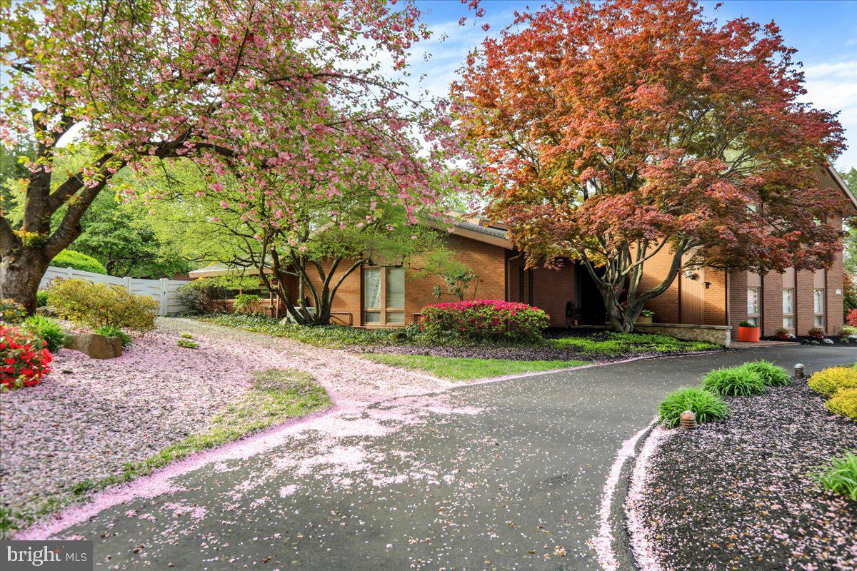 BIRDLAND - Residential