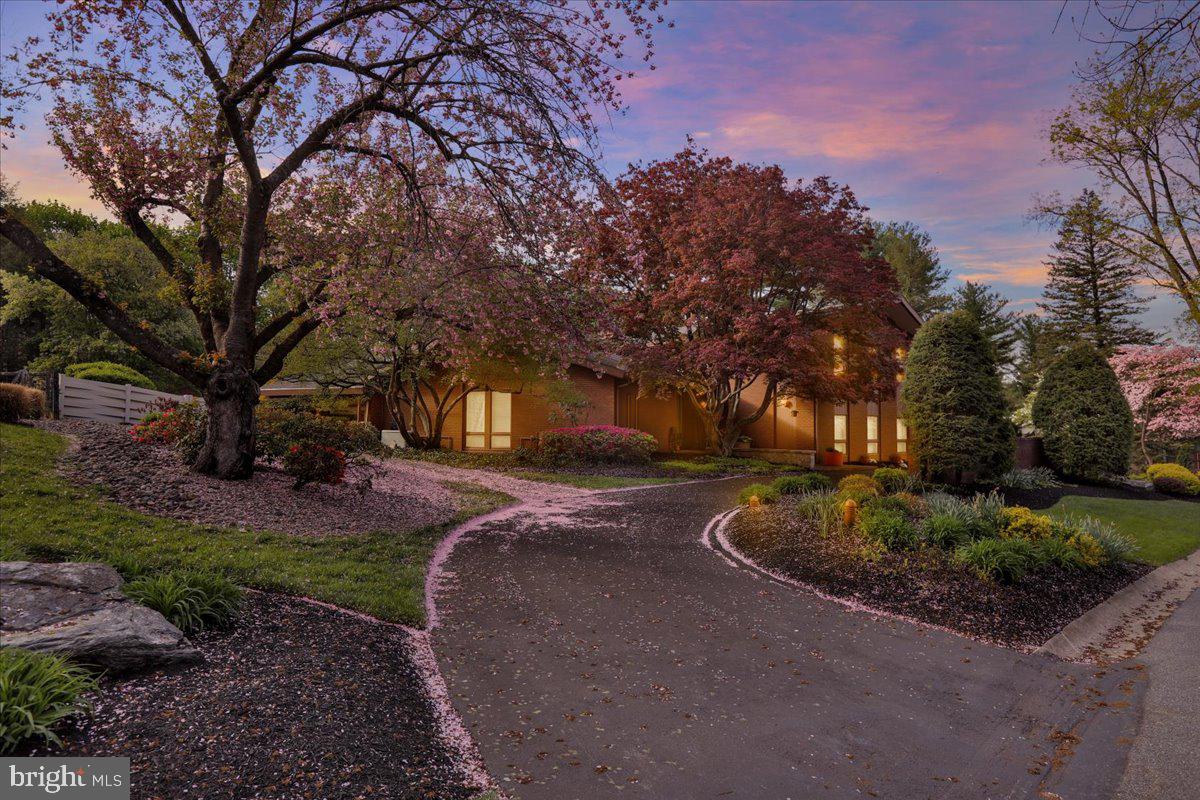 BIRDLAND - Residential