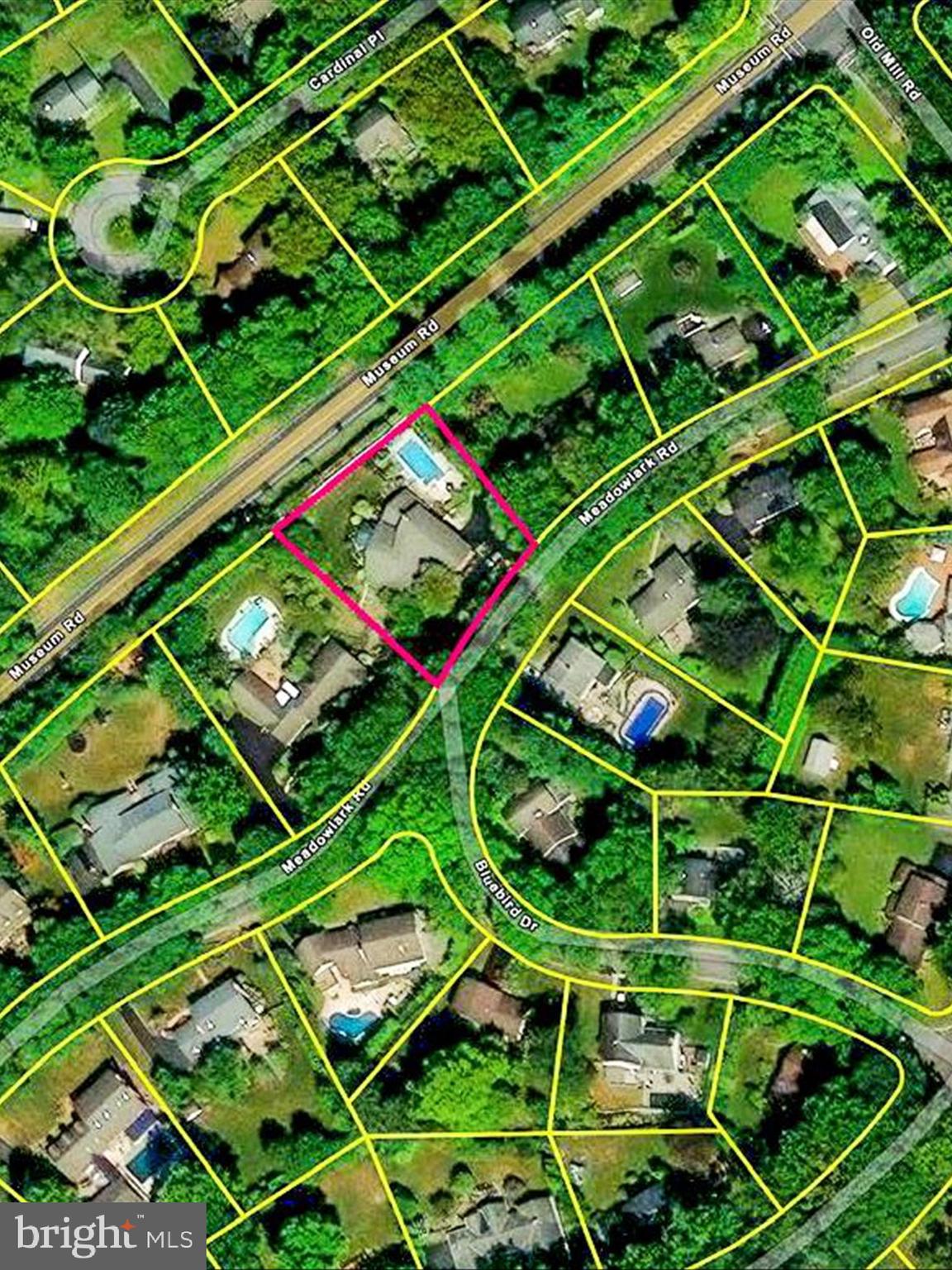 BIRDLAND - Residential