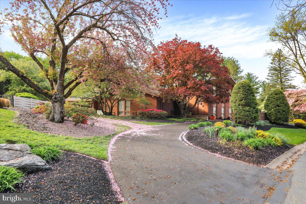 BIRDLAND - Residential