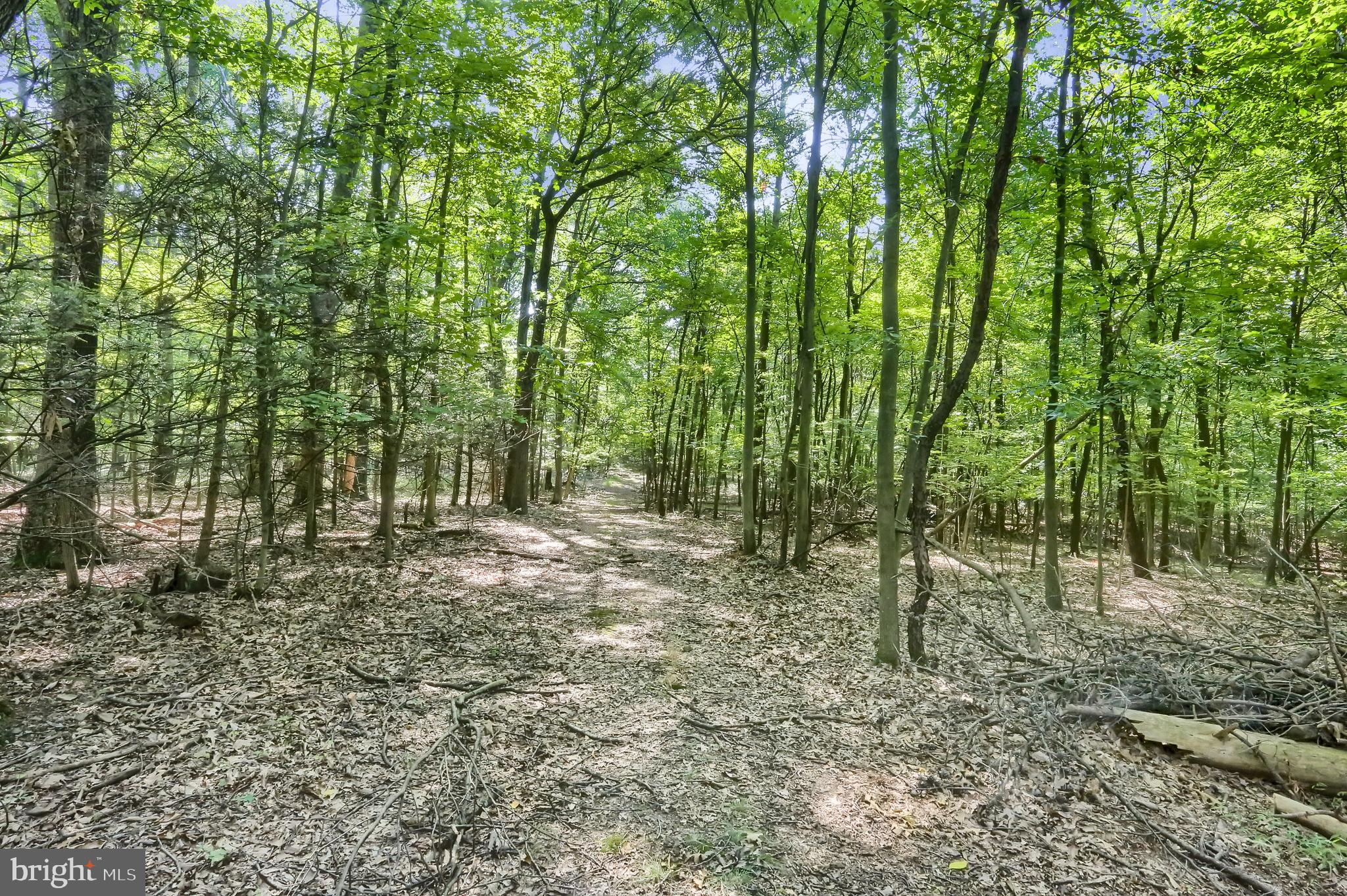 DUNCANNON - Residential