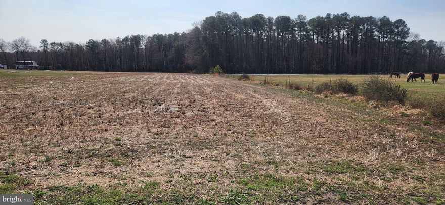 Beautiful 2 acre lot ready to build. This lot offers the perfect balance of seclusion and convenience. Stick built or modular. No trees to remove shovel ready No chicken houses in vicinity great location. Site evaluation on file.