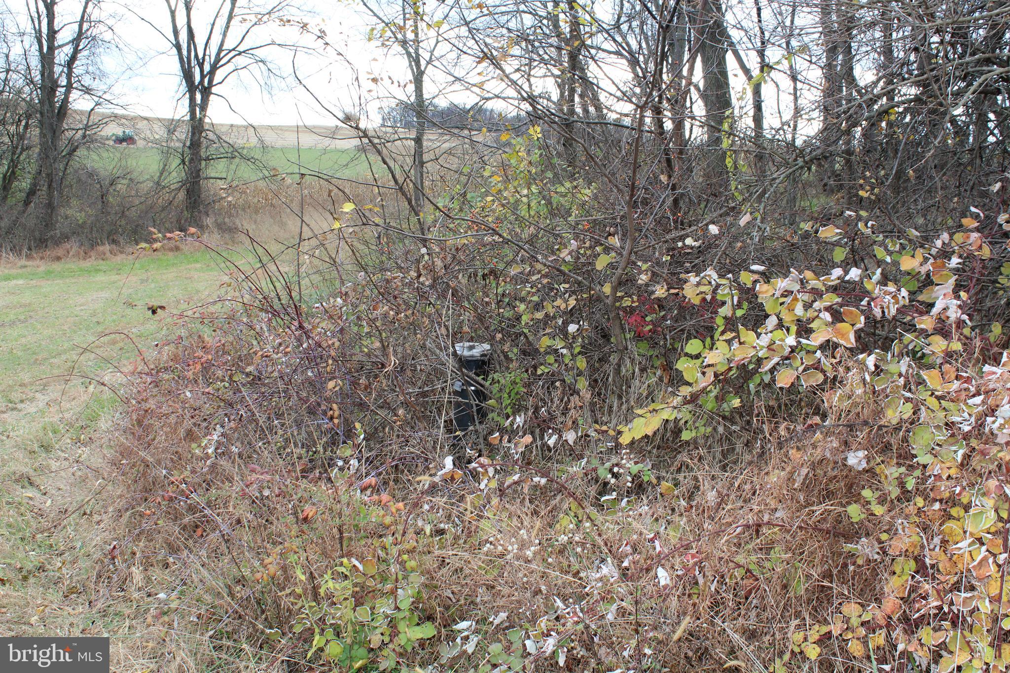 NONE AVAILABLE - Land