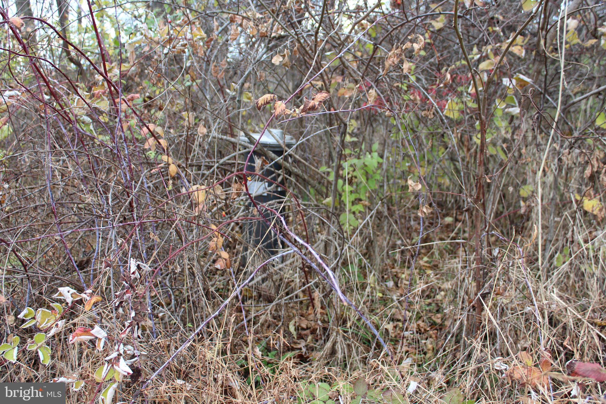 NONE AVAILABLE - Land