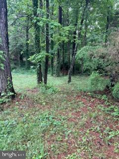 Discover the perfect building lot in Chesapeake Ranch Estates, where you can create your dream home in a beautiful, water-oriented community. Enjoy exclusive access to the beach and lake, ideal for outdoor enthusiasts and nature lovers. This lot has a passing perc test, ensuring it's ready for your construction plans. Don't miss this opportunity to build your dream home in a serene and picturesque setting!