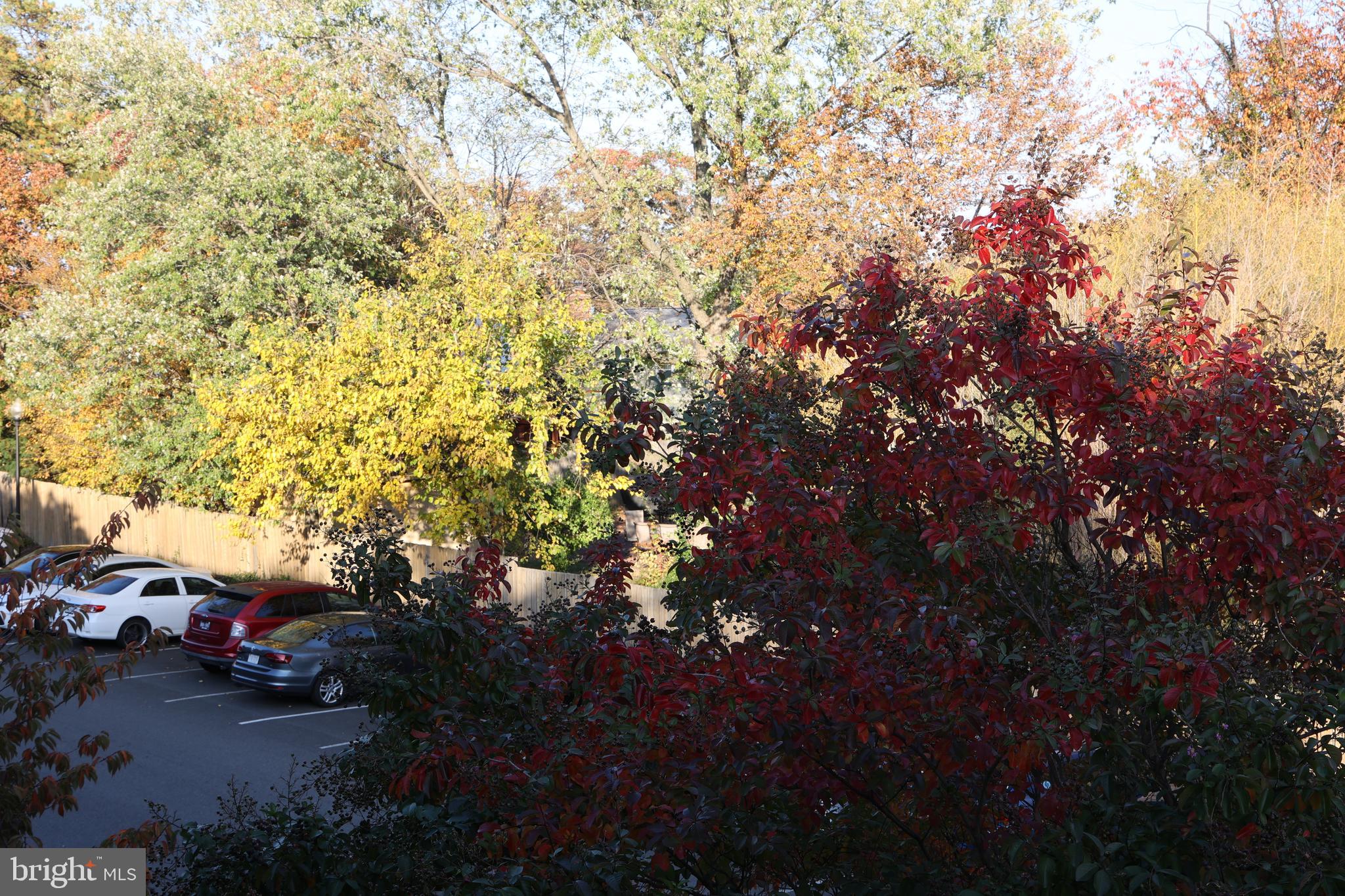 VALLEY PARK - Residential