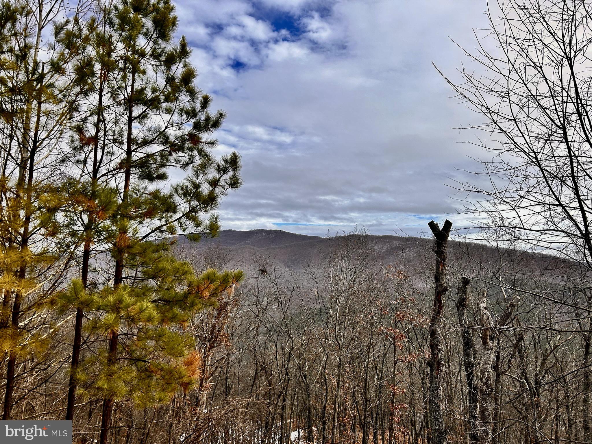 ASHTON WOODS PROPERTY OWNERS ASSOCIATION - Residential