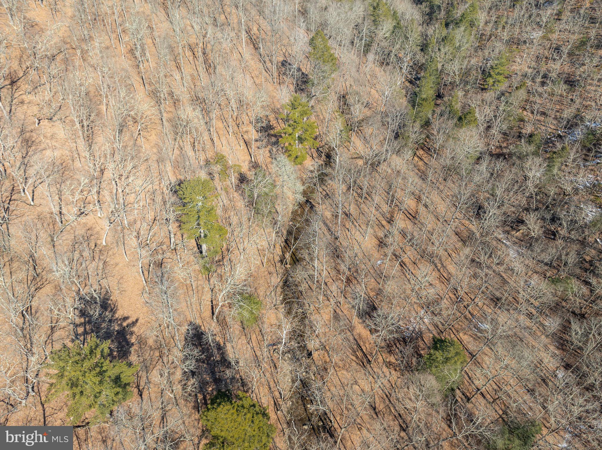 ASHTON WOODS PROPERTY OWNERS ASSOCIATION - Residential