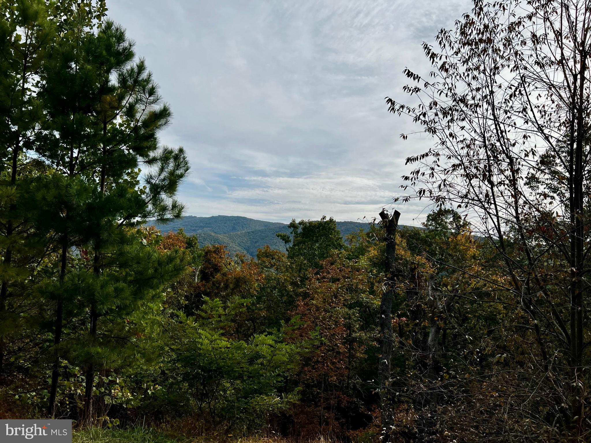 ASHTON WOODS PROPERTY OWNERS ASSOCIATION - Residential