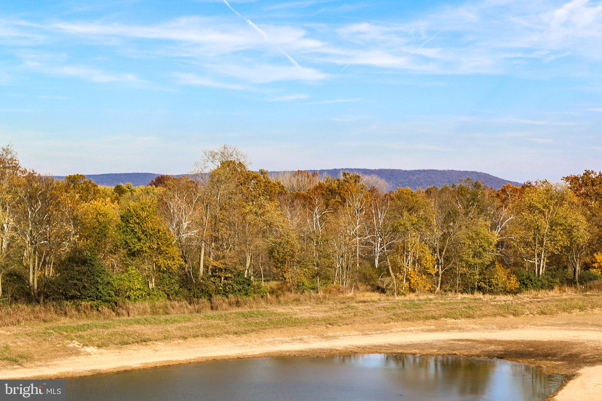 SHENANDOAH SPRINGS - Residential Lease