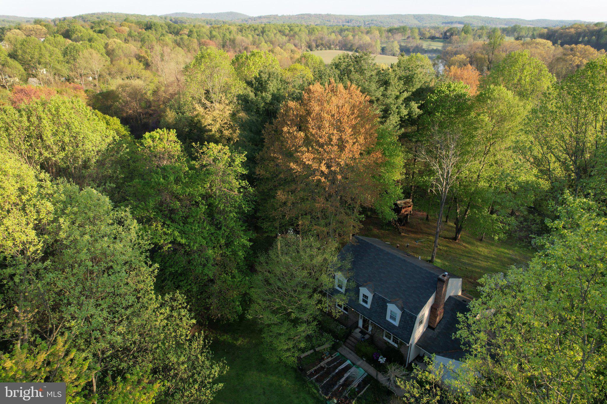 IVY HILL - Residential