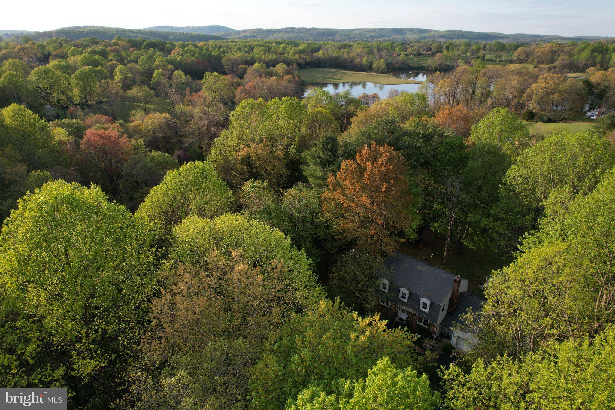 IVY HILL - Residential