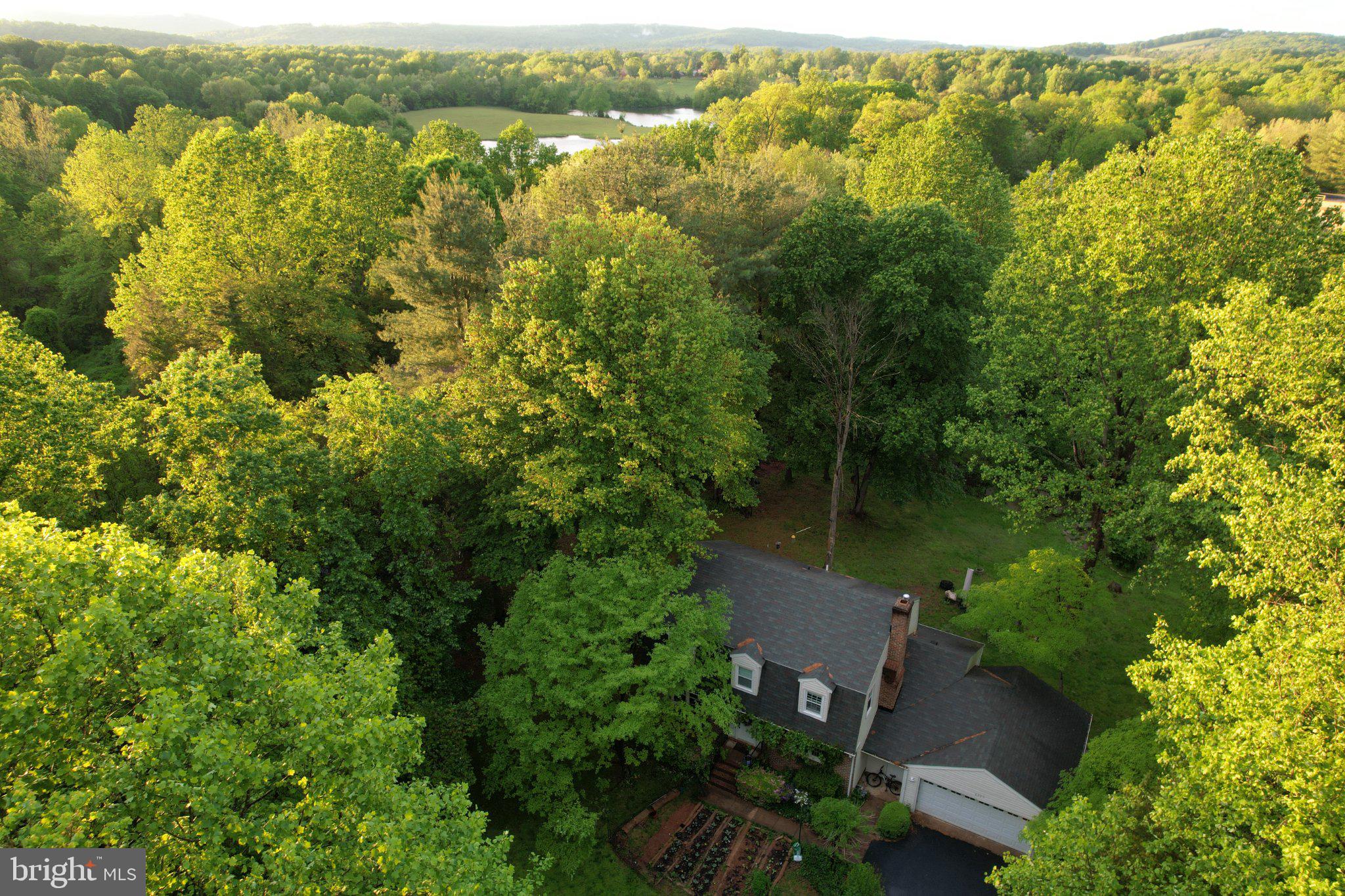 IVY HILL - Residential
