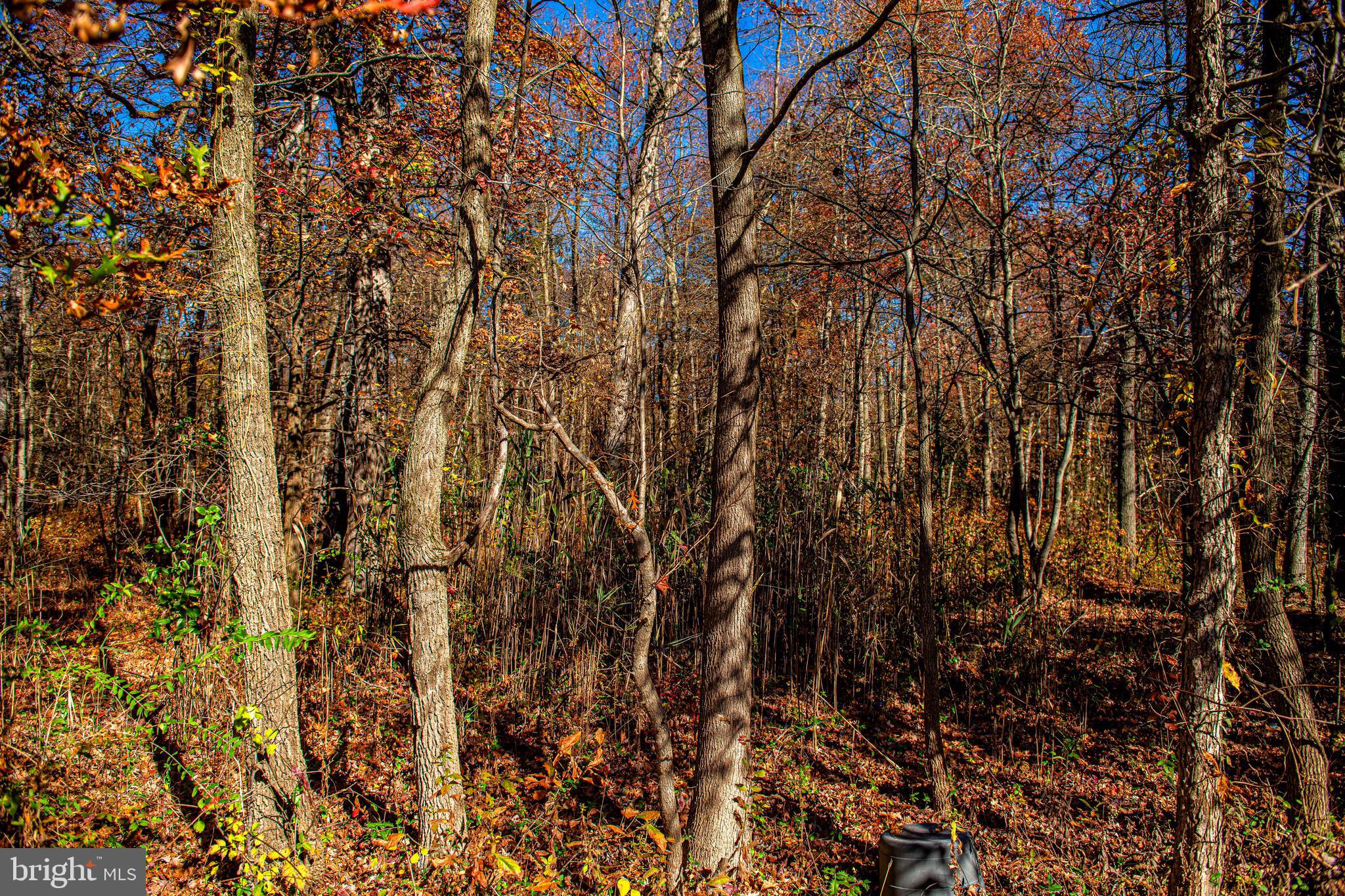 STERLING RESERVE - Residential